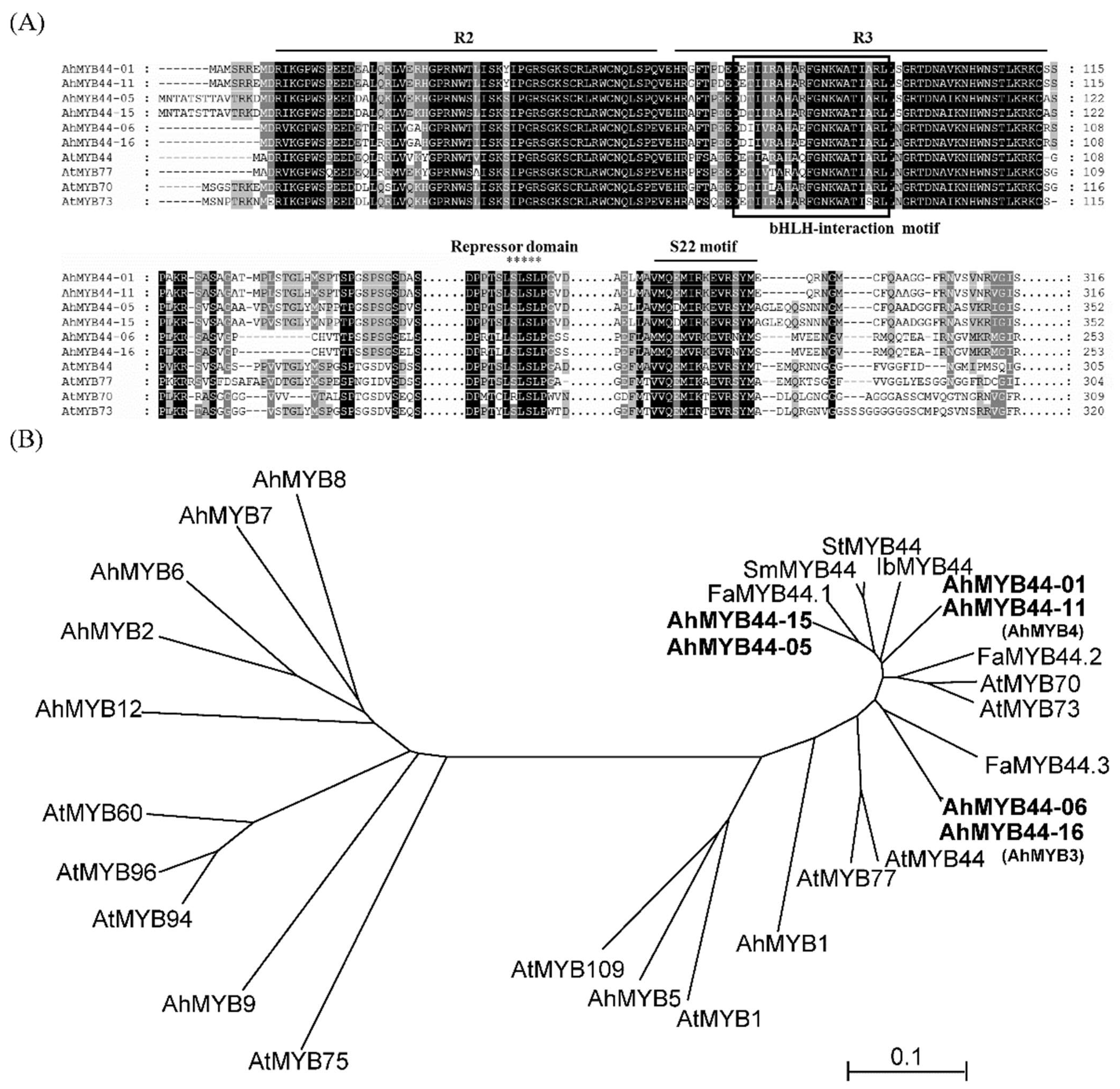 Plants 11 03522 g001 Plants 11 03522 g001