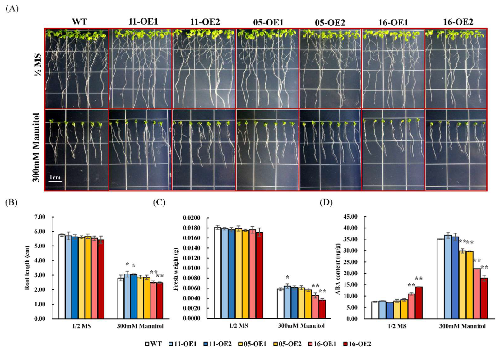 Plants 11 03522 g006 Plants 11 03522 g006