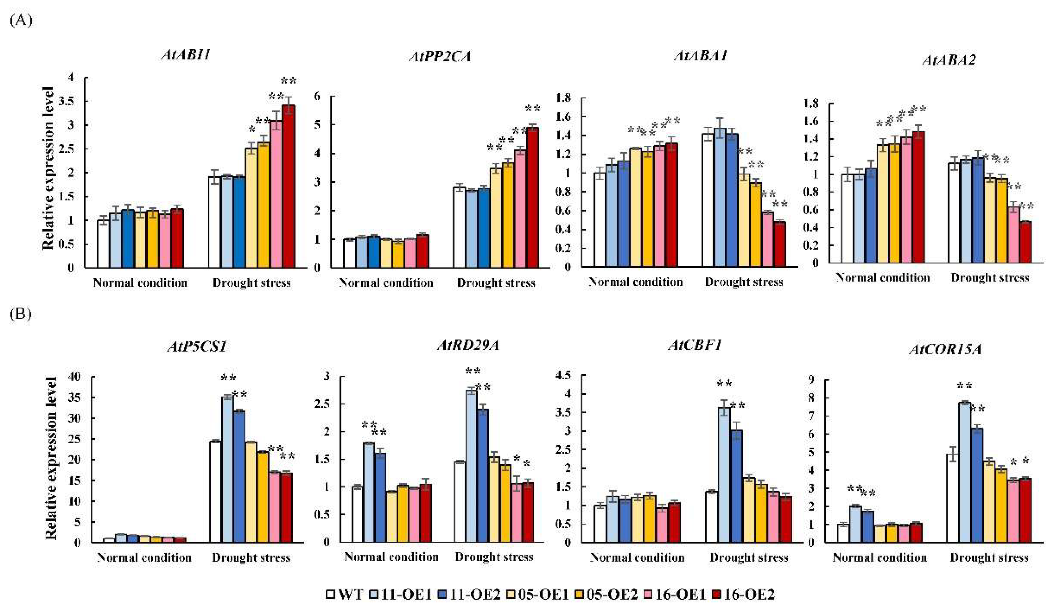 Plants 11 03522 g008 Plants 11 03522 g008