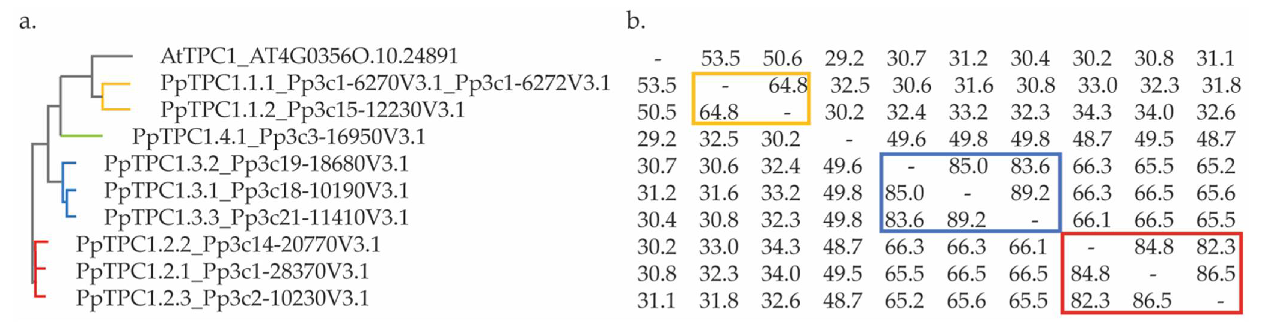 Plants 11 03527 g002 Plants 11 03527 g002