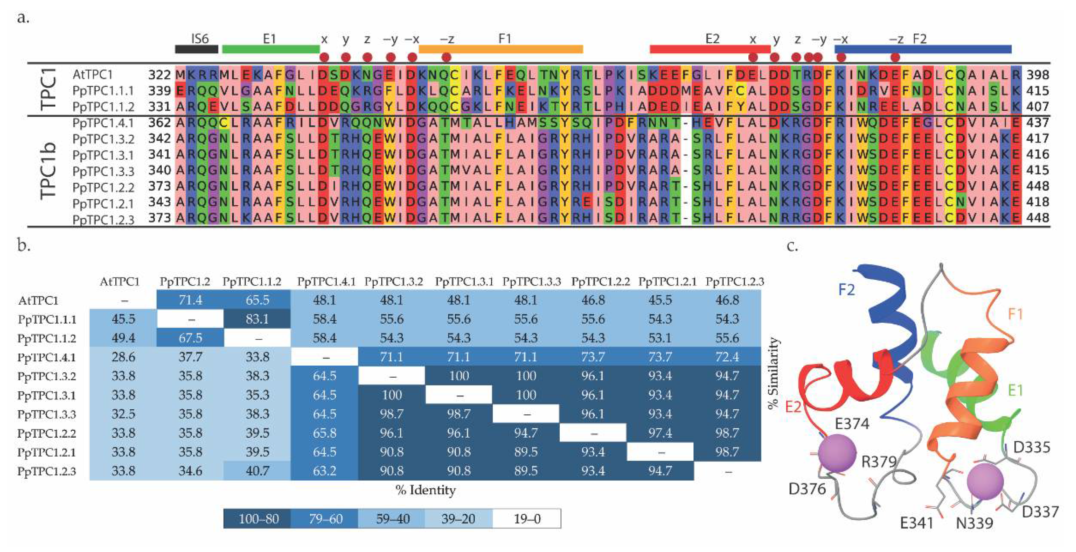 Plants 11 03527 g003 Plants 11 03527 g003