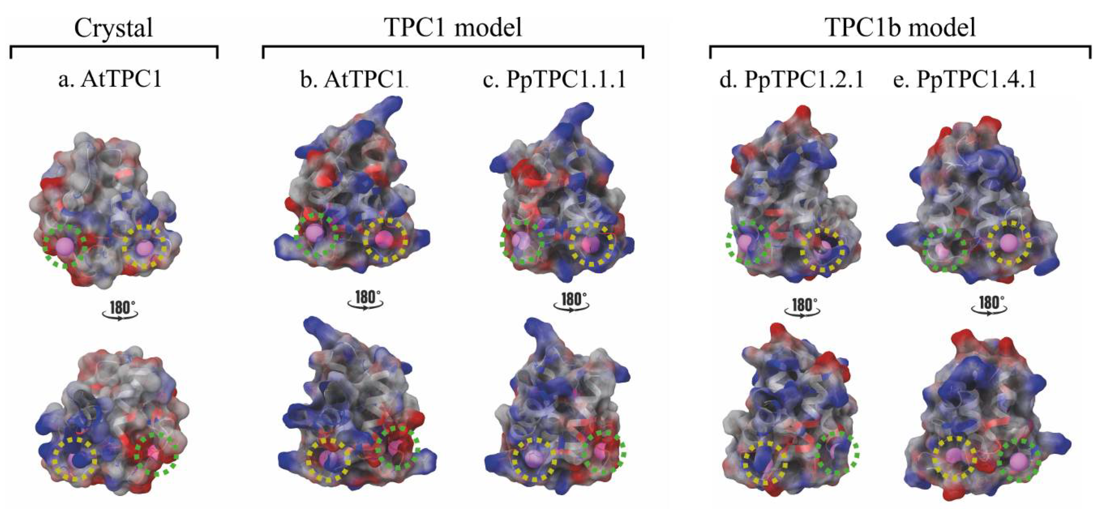 Plants 11 03527 g004 Plants 11 03527 g004