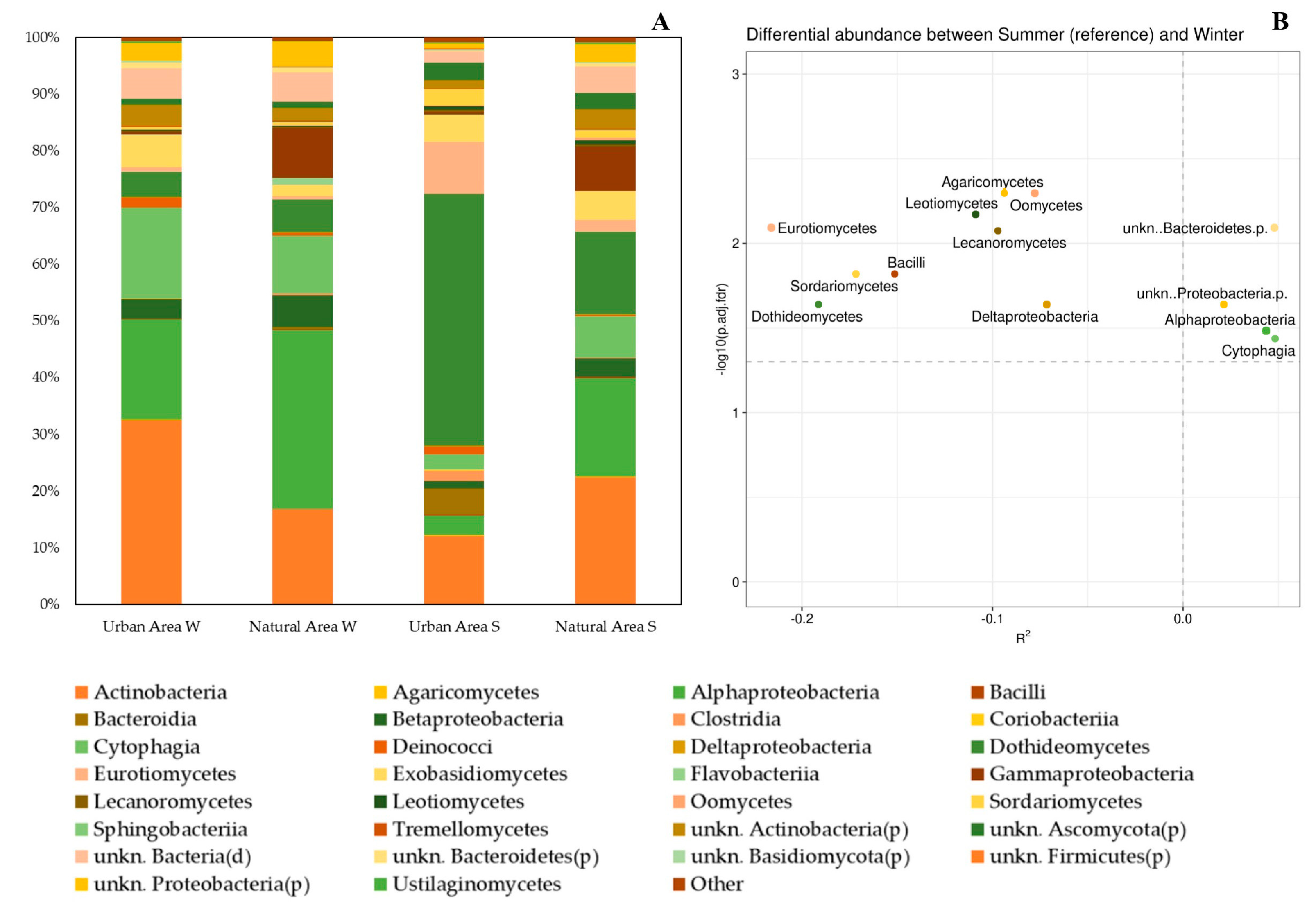 Plants 11 03528 g003 Plants 11 03528 g003