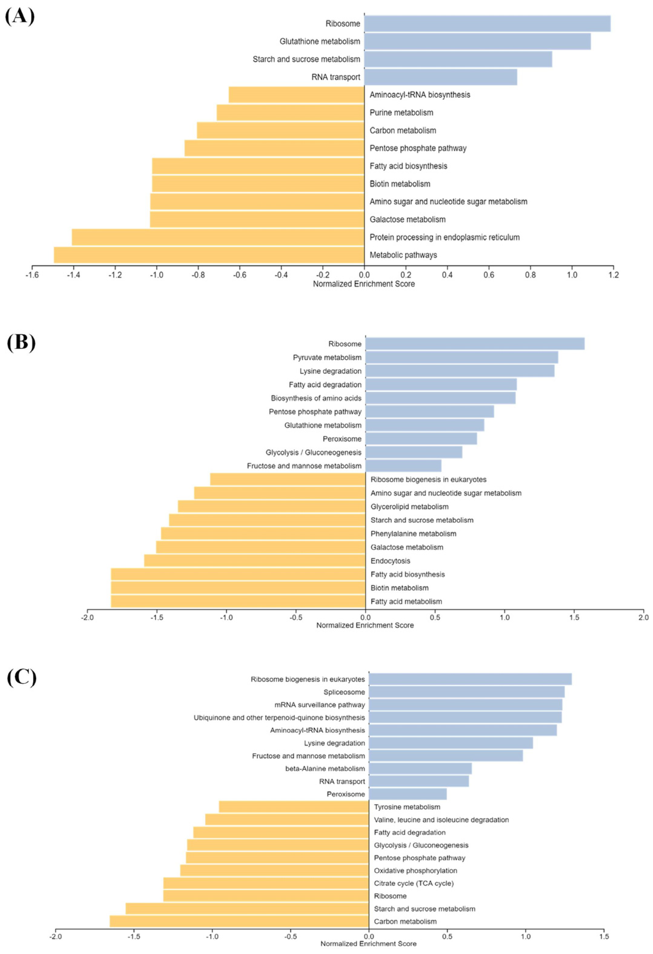 Plants 11 03530 g004 Plants 11 03530 g004