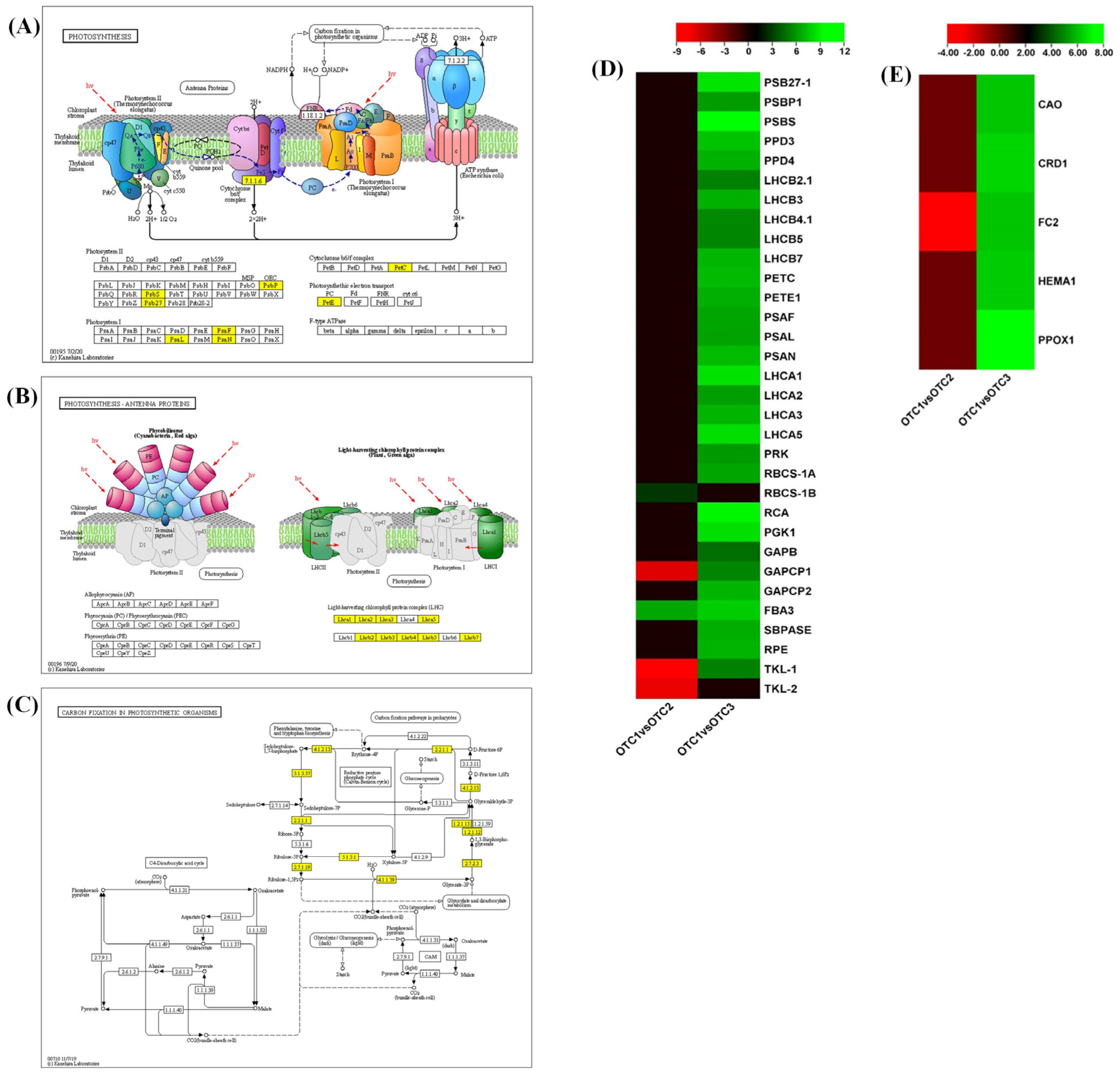 Plants 11 03530 g005 Plants 11 03530 g005