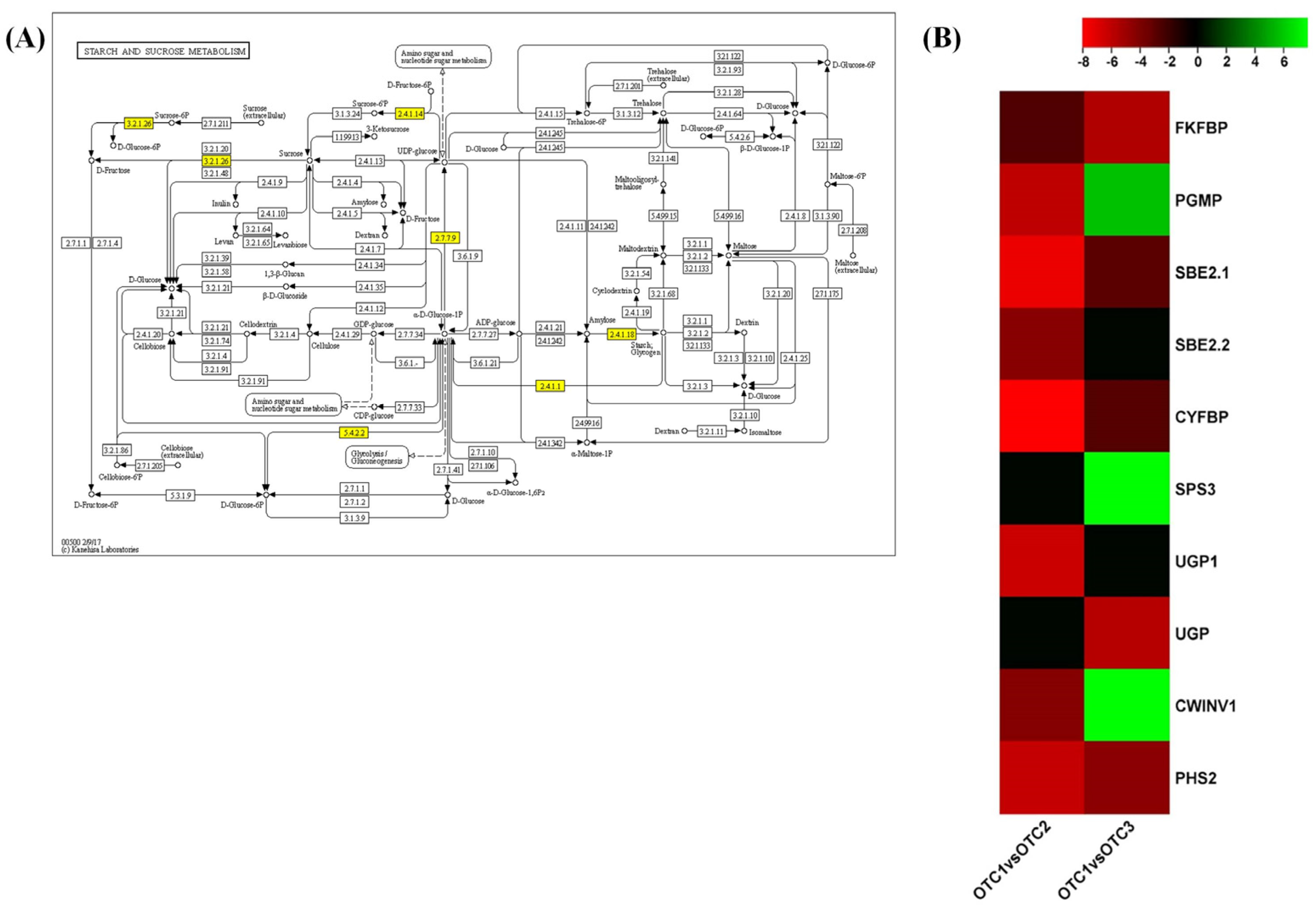 Plants 11 03530 g006 Plants 11 03530 g006