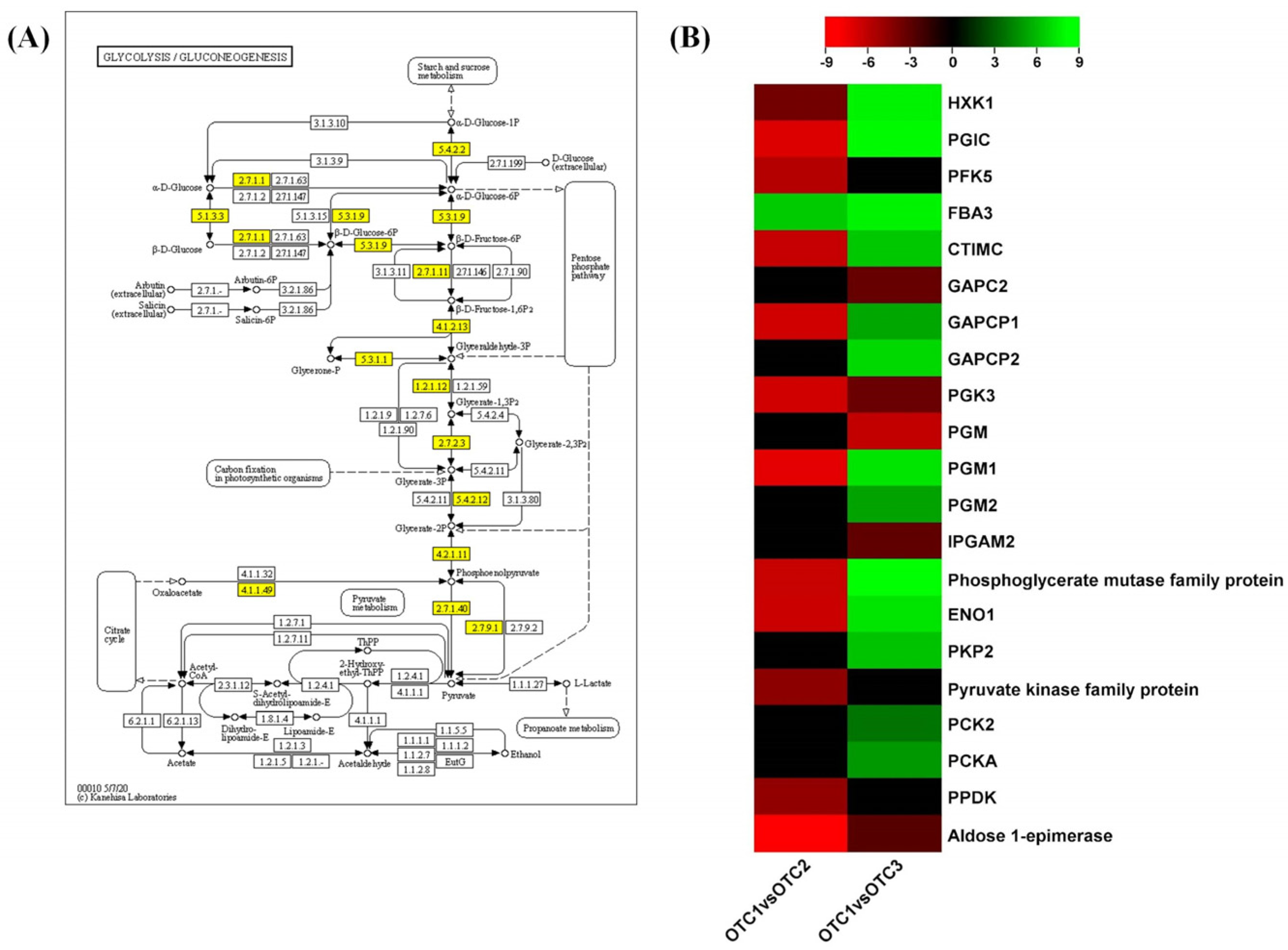 Plants 11 03530 g007 Plants 11 03530 g007