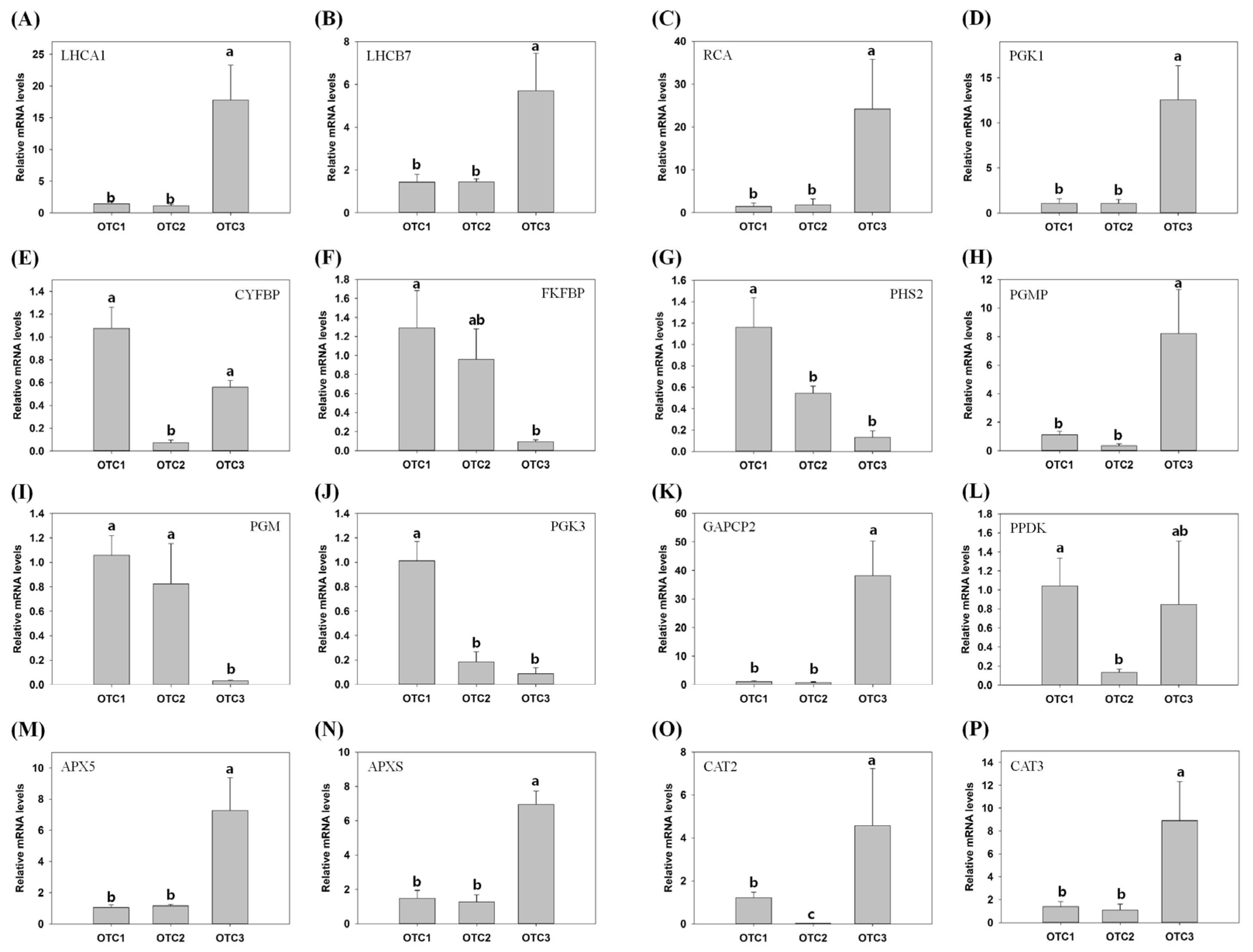 Plants 11 03530 g009 Plants 11 03530 g009