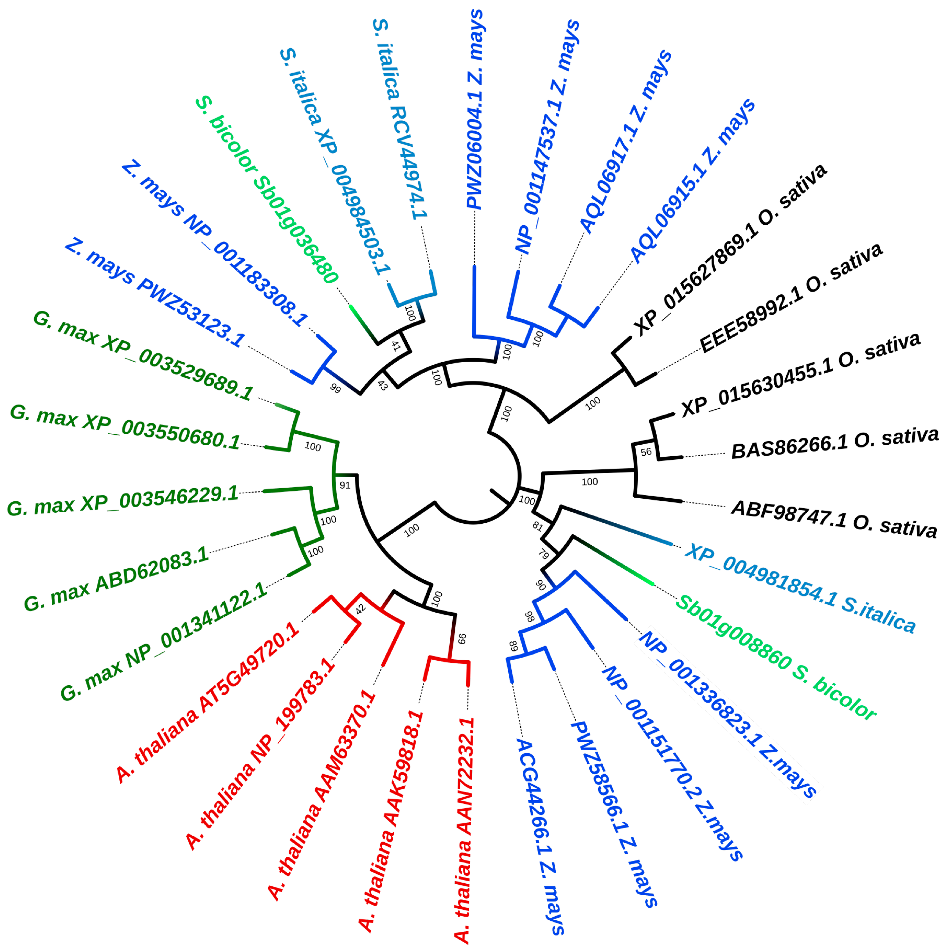 Plants 11 03531 g002 Plants 11 03531 g002