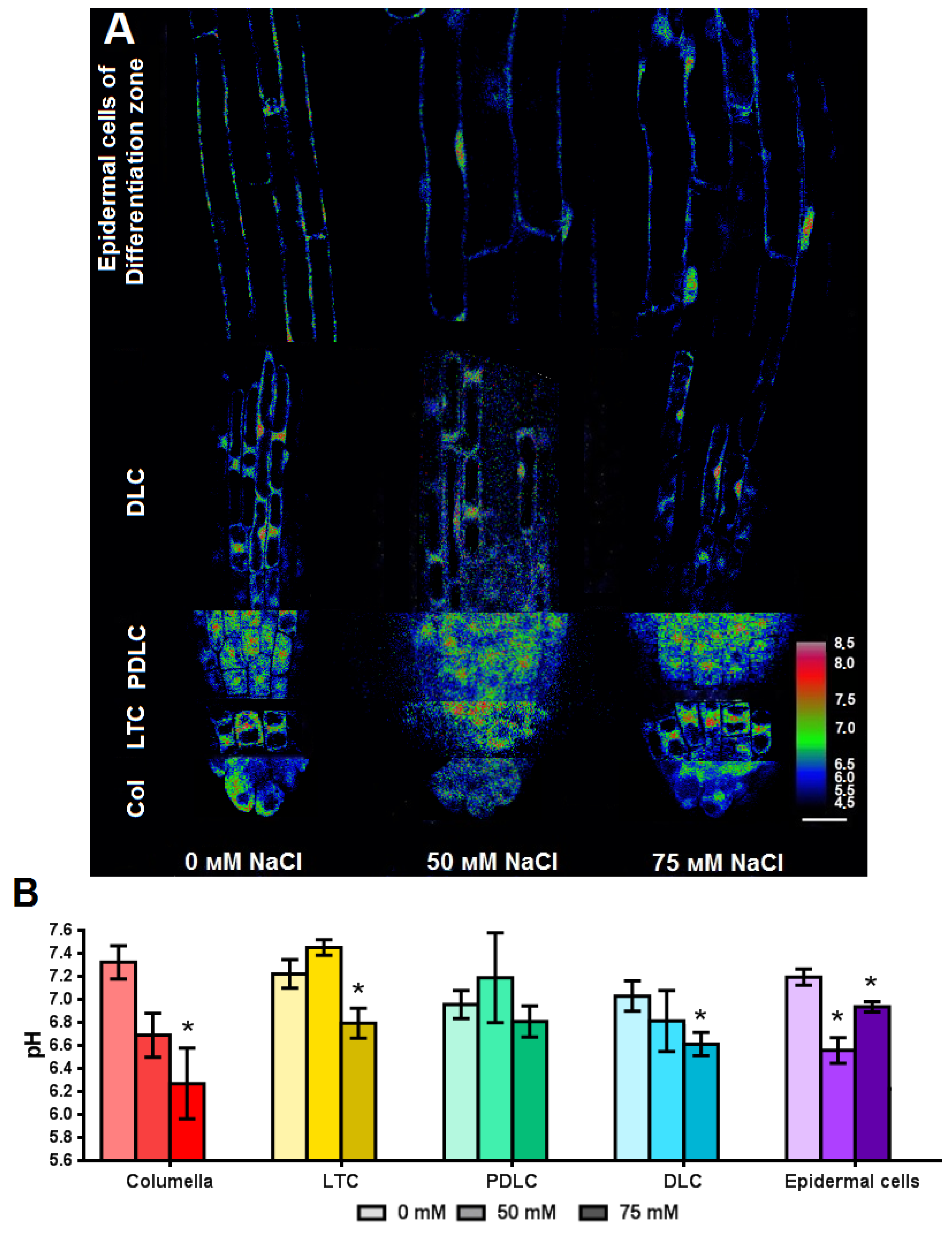 Plants 11 03532 g008