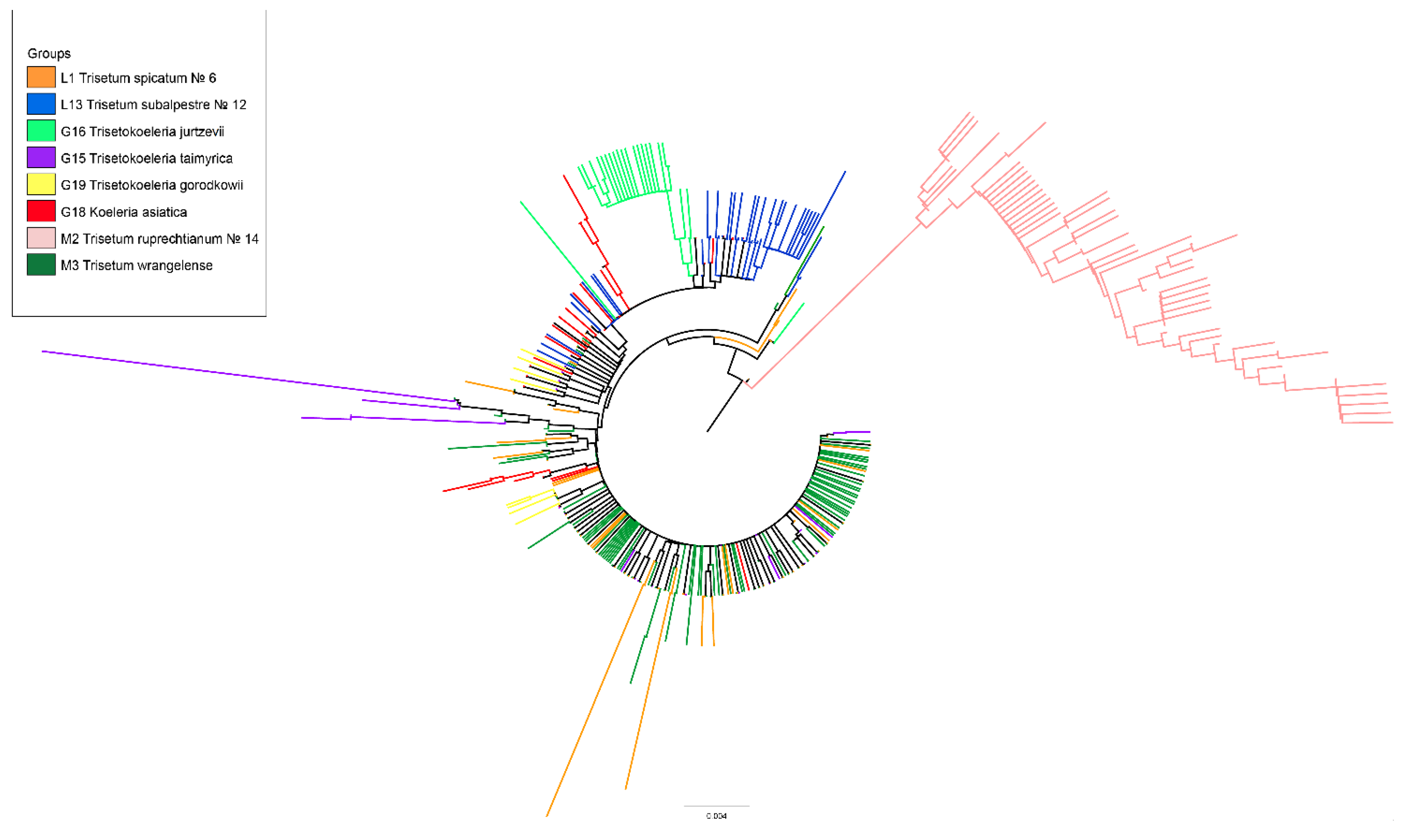 Plants 11 03533 g002 Plants 11 03533 g002