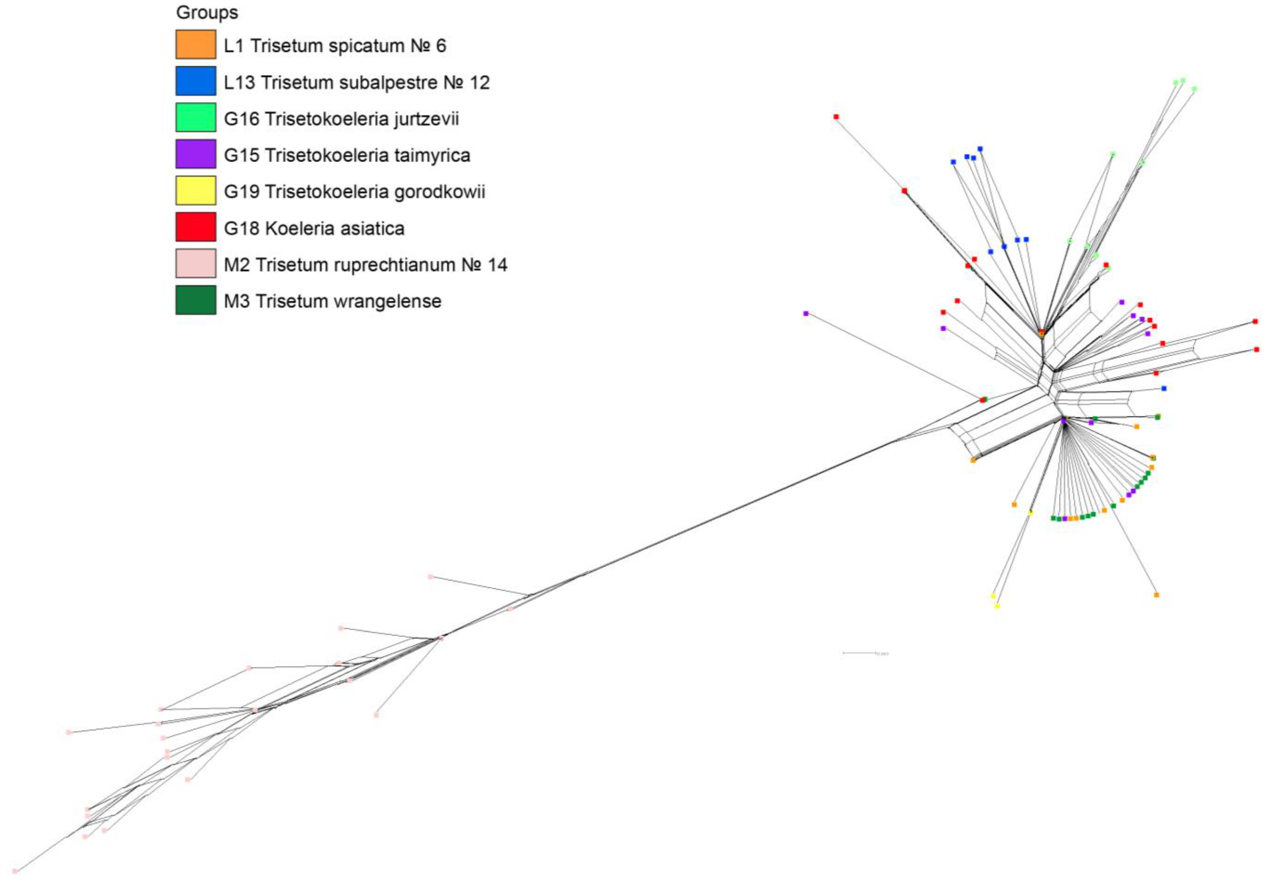 Plants 11 03533 g003 Plants 11 03533 g003