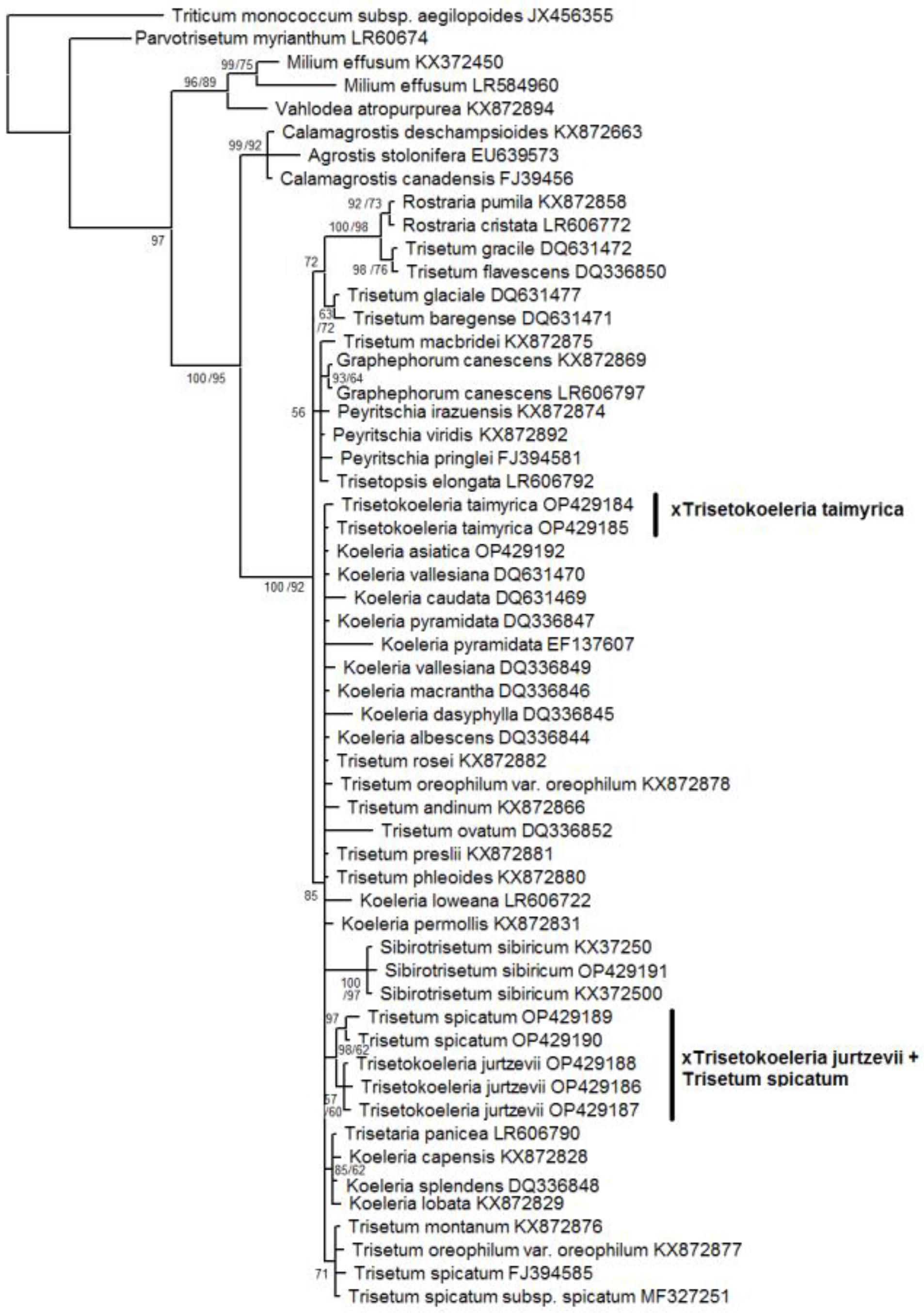 Plants 11 03533 g004 Plants 11 03533 g004