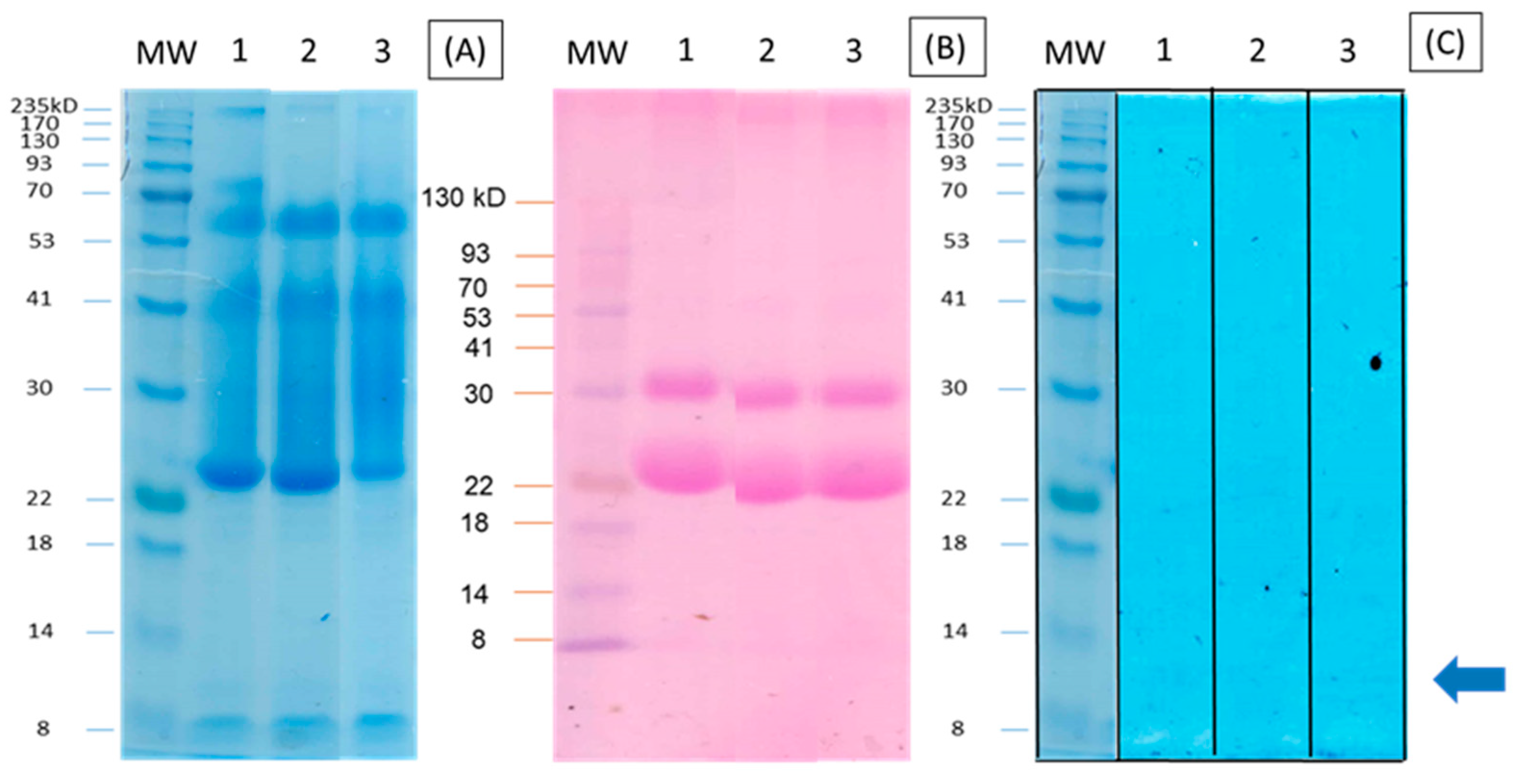 Plants 11 03538 g001 Plants 11 03538 g001