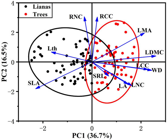 Temperate Lianas Have More Acquisitive Strategies than Host Trees in ...