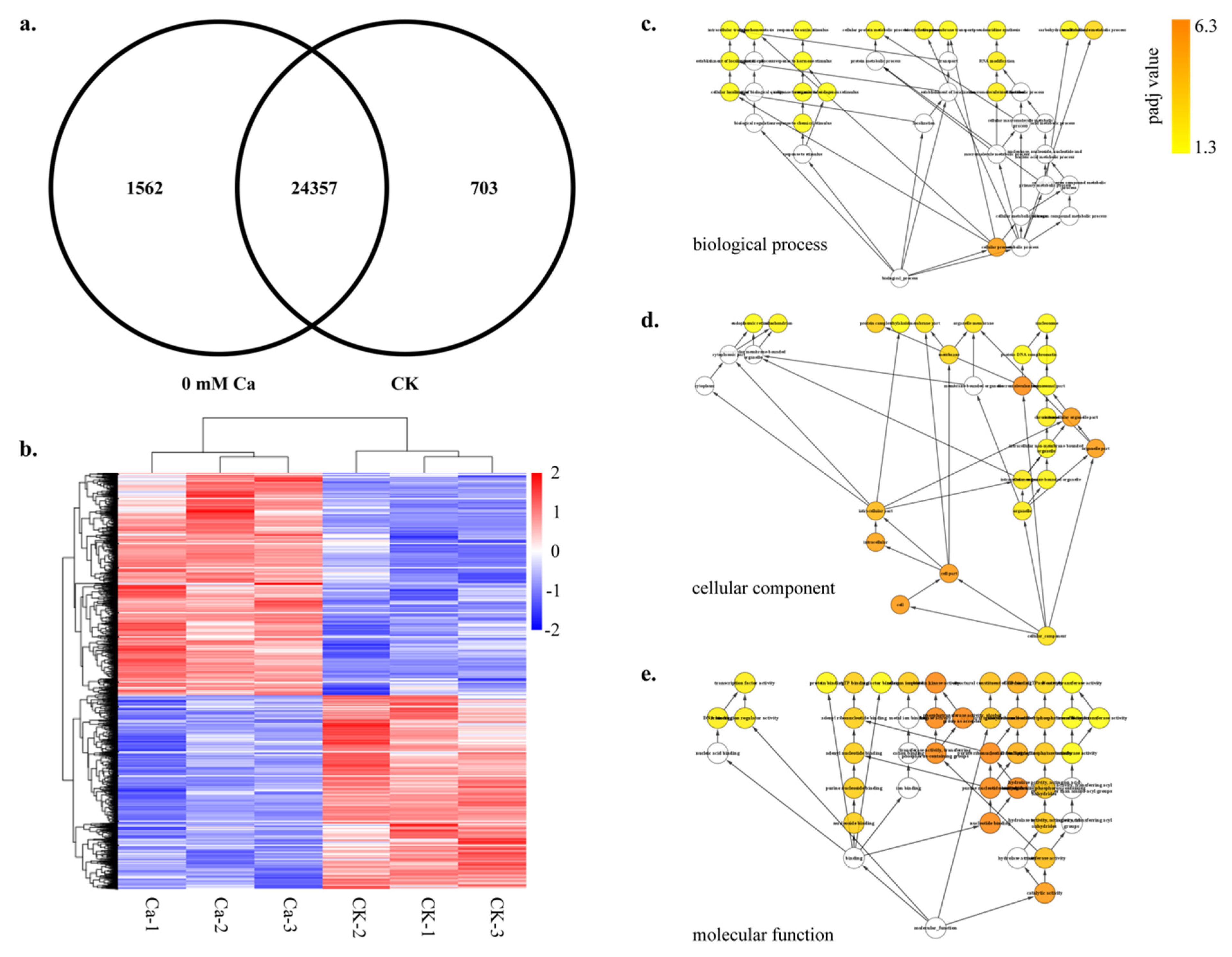 Plants 11 03555 g004 Plants 11 03555 g004