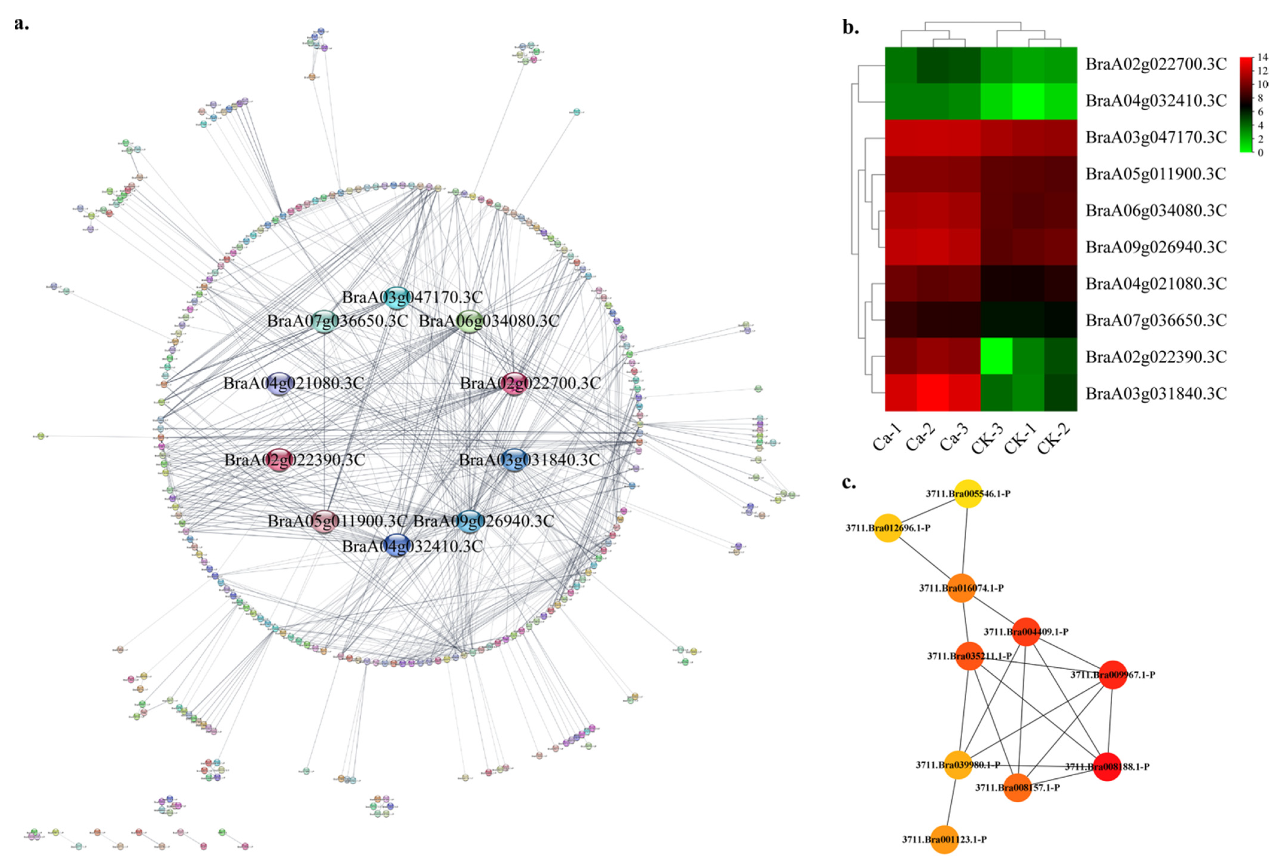 Plants 11 03555 g007 Plants 11 03555 g007