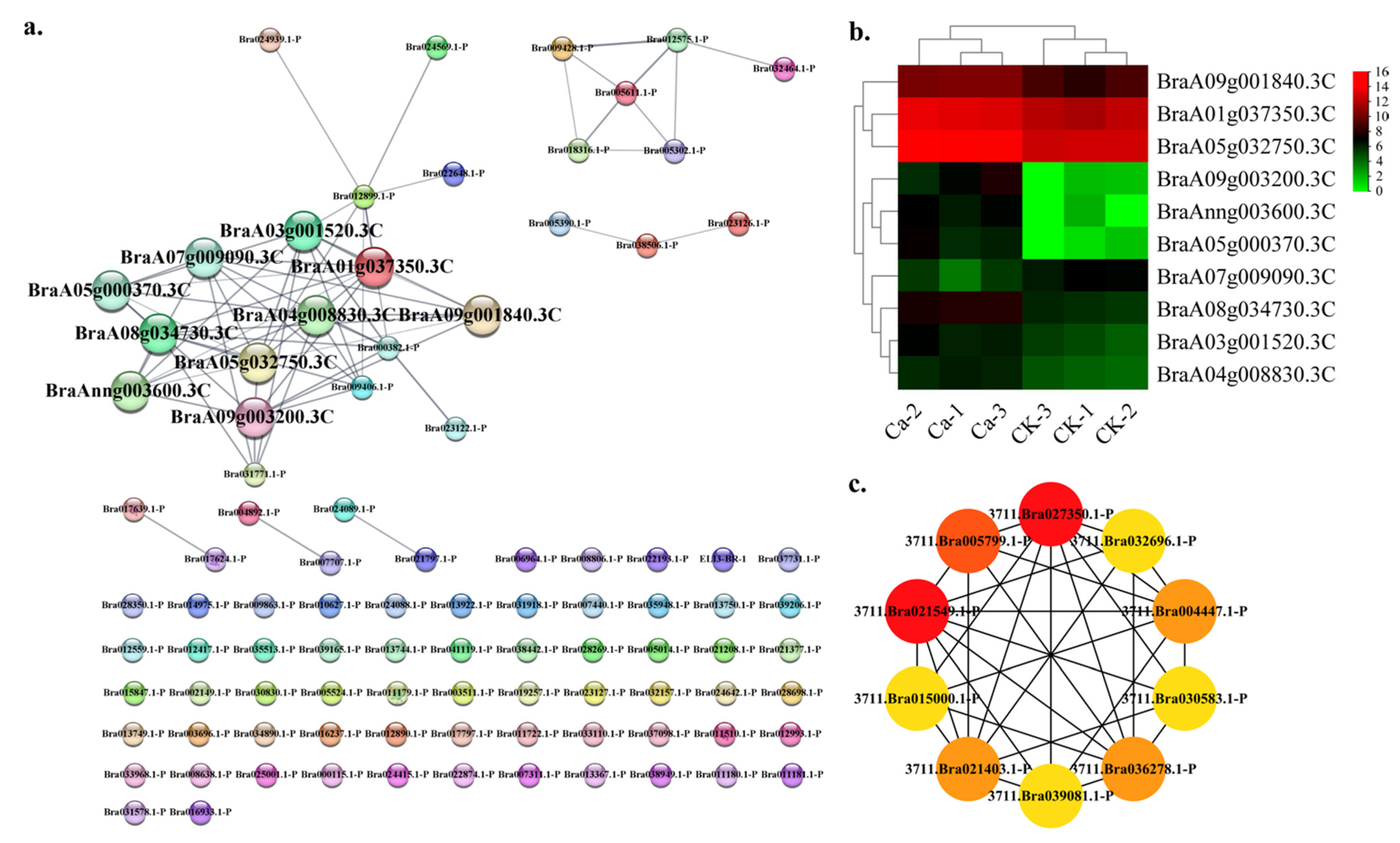 Plants 11 03555 g009 Plants 11 03555 g009