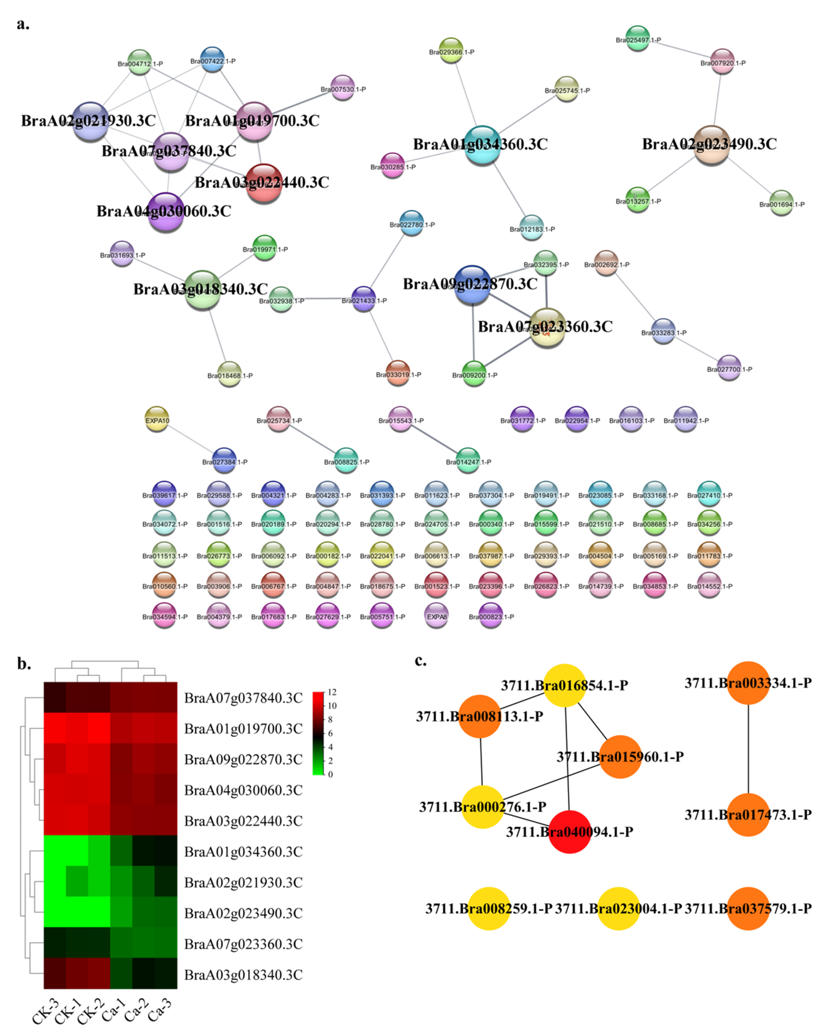 Plants 11 03555 g010 Plants 11 03555 g010
