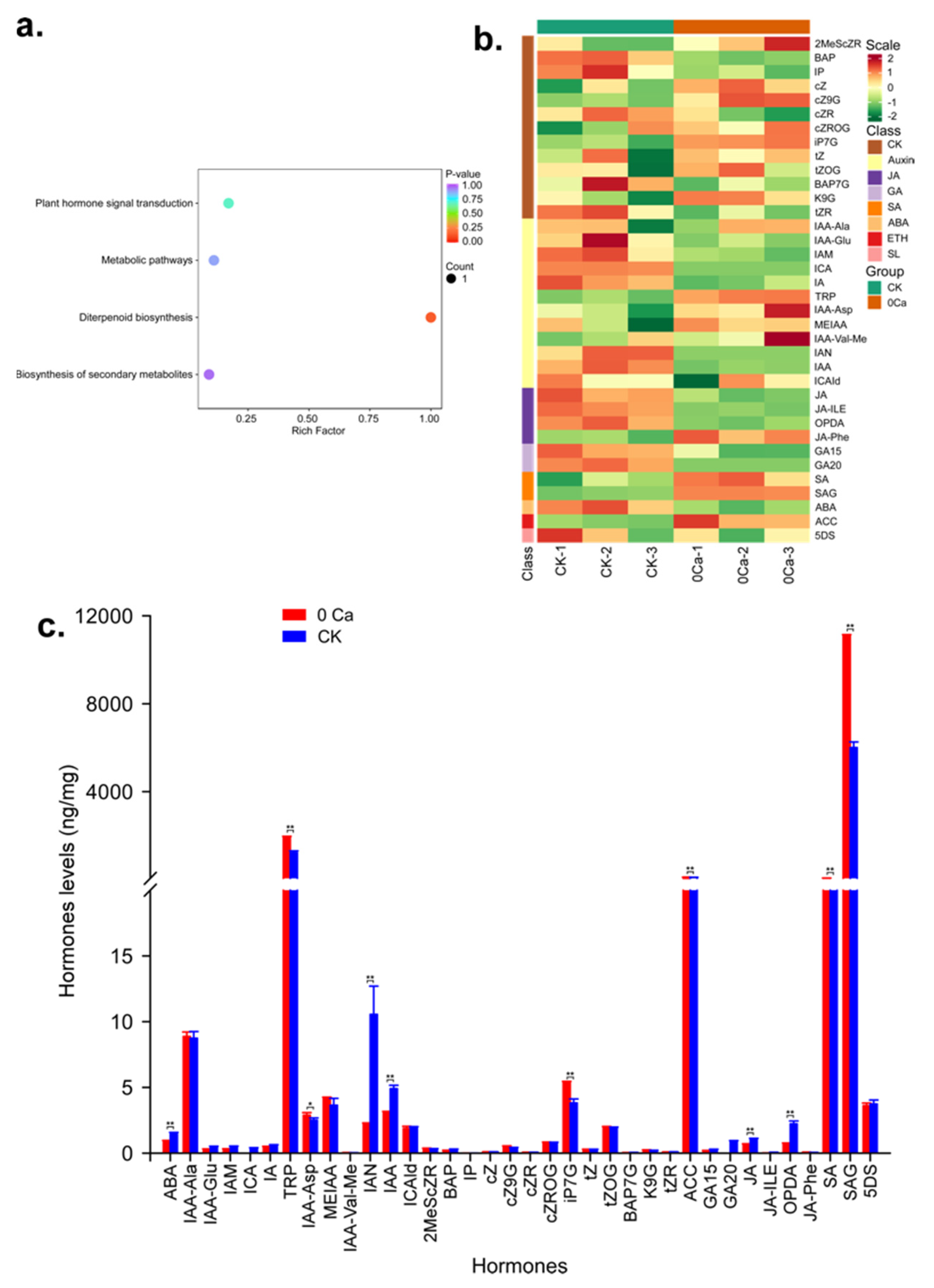 Plants 11 03555 g015 Plants 11 03555 g015