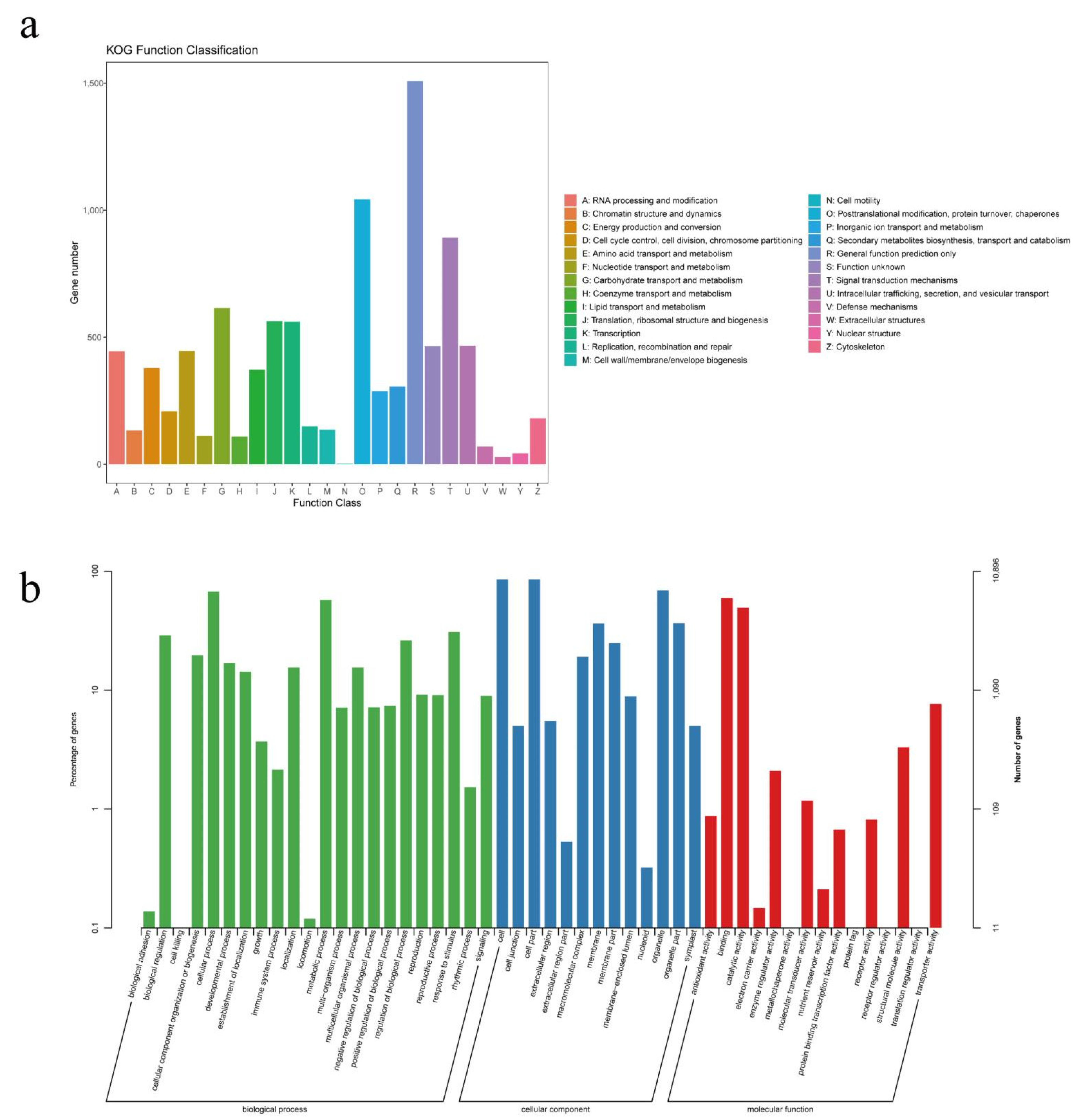 Plants 11 03559 g004 Plants 11 03559 g004