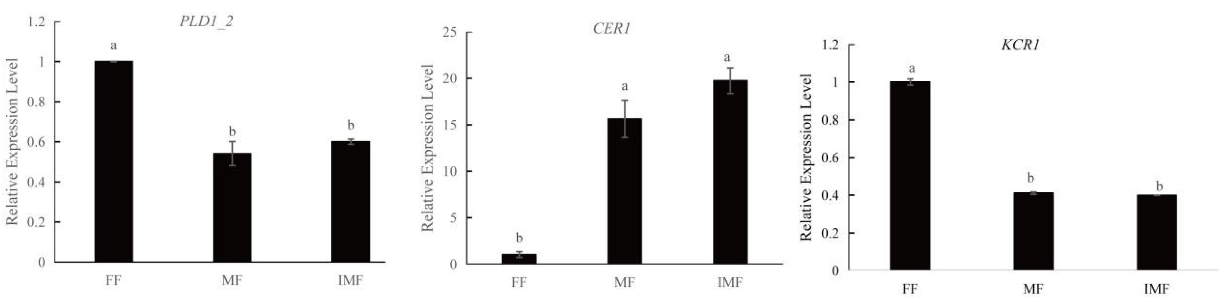 Plants 11 03559 g009 Plants 11 03559 g009