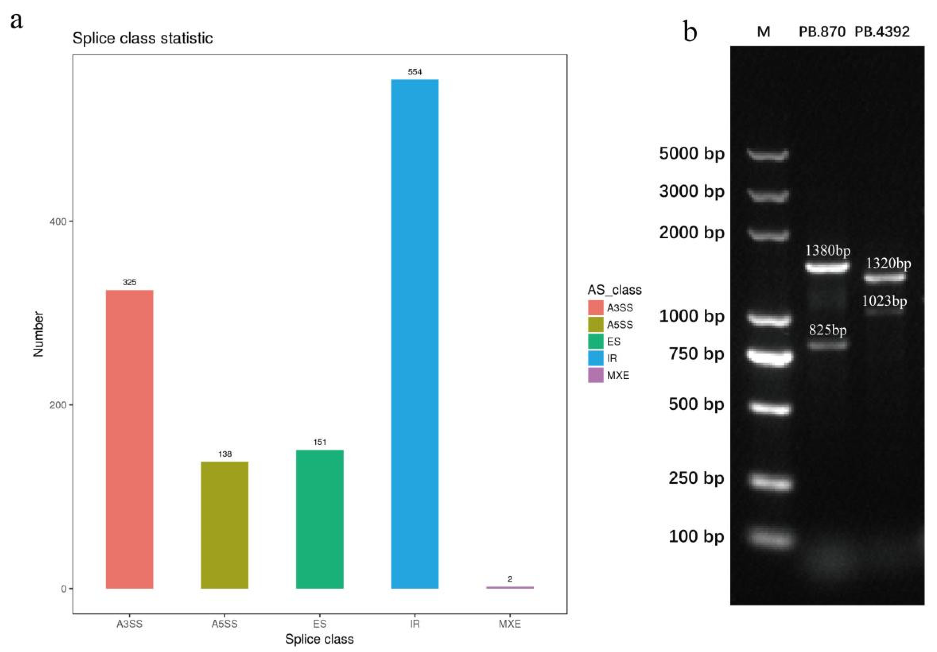 Plants 11 03559 g010 Plants 11 03559 g010