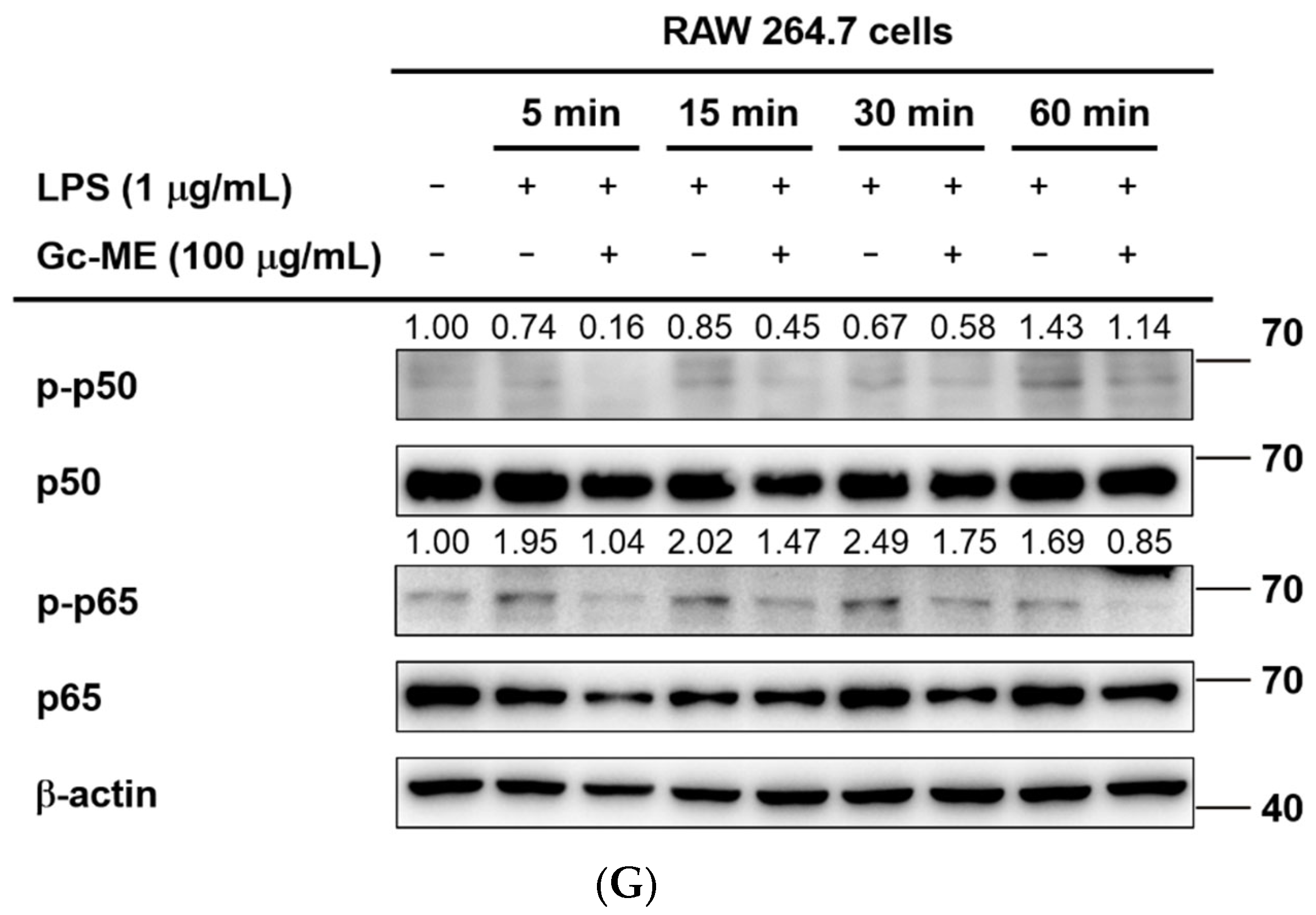 Plants 11 03560 g002b Plants 11 03560 g002b