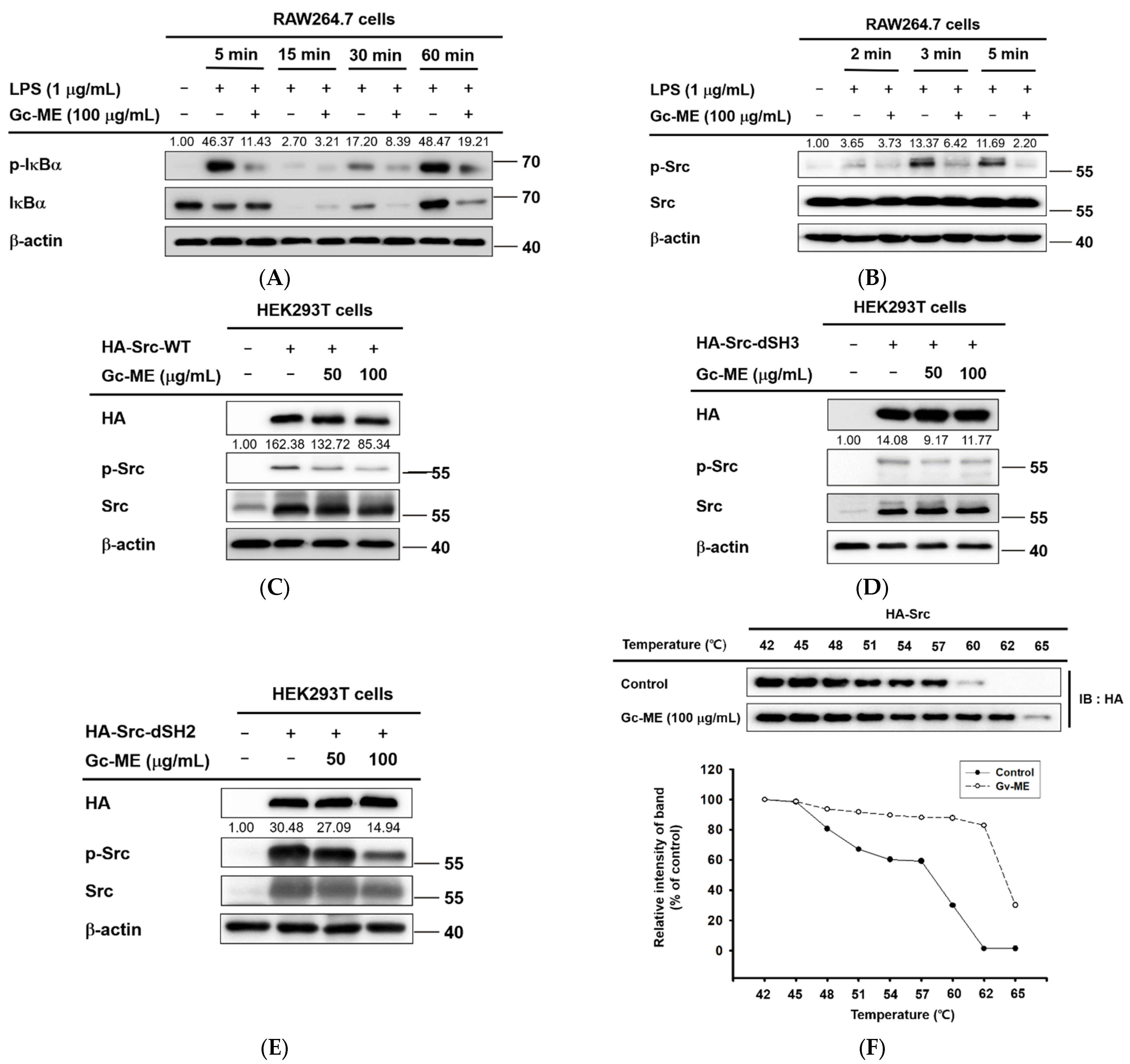 Plants 11 03560 g003 Plants 11 03560 g003