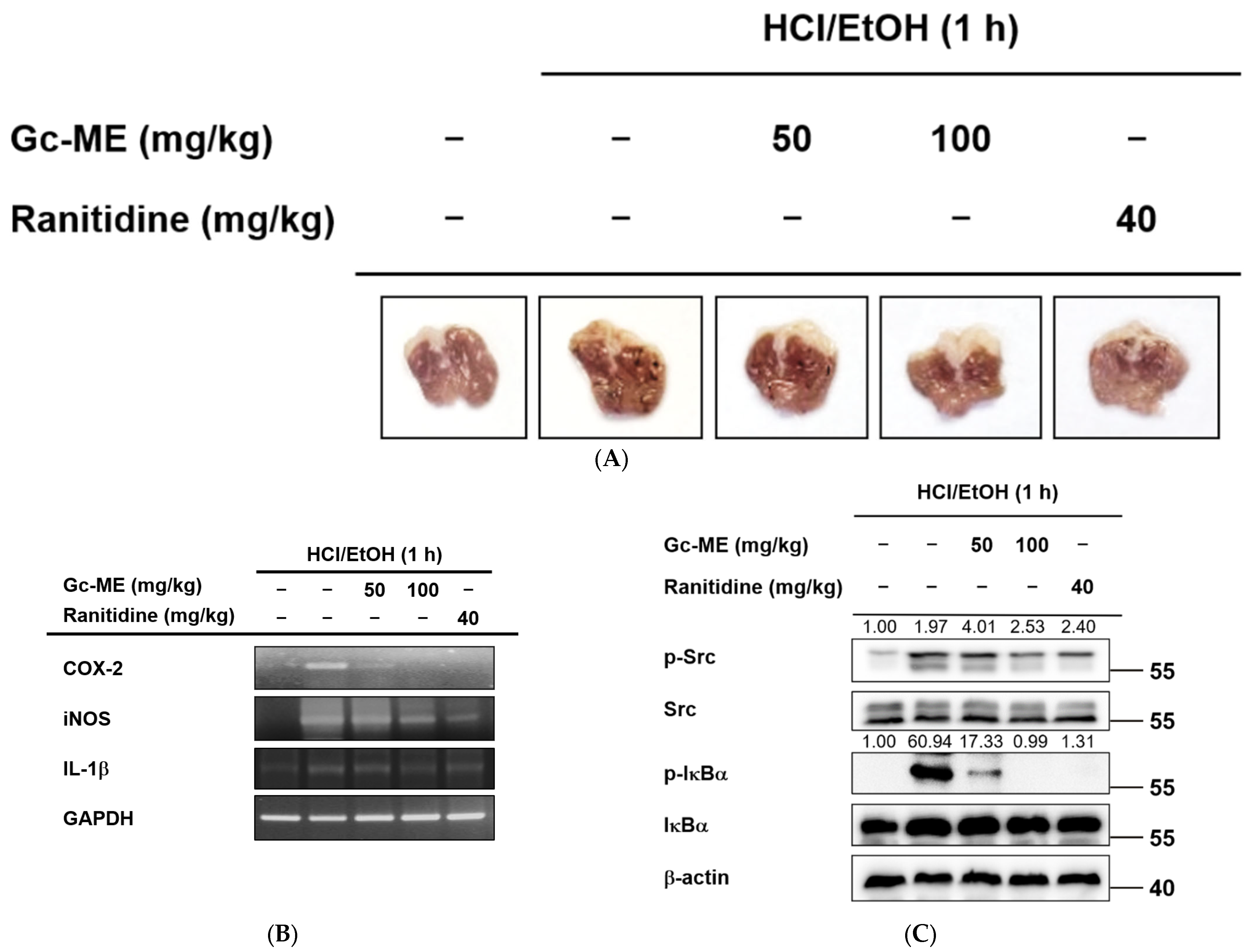 Plants 11 03560 g004 Plants 11 03560 g004