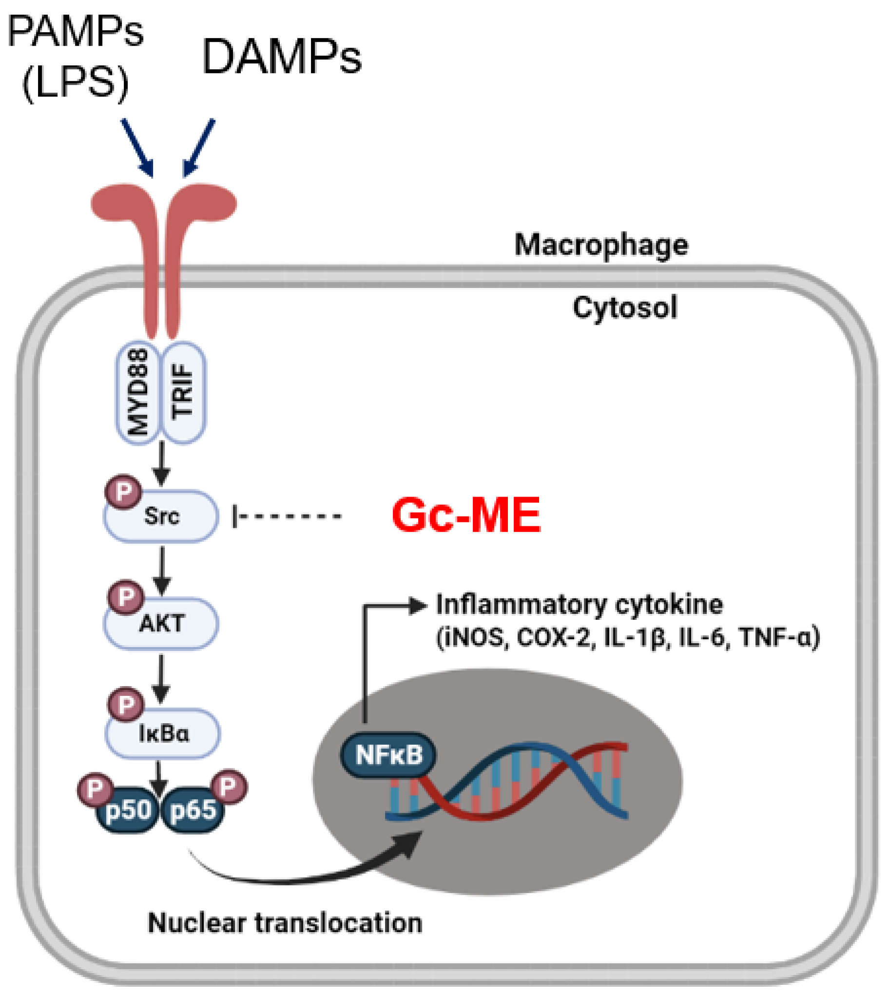 Plants 11 03560 g006 Plants 11 03560 g006