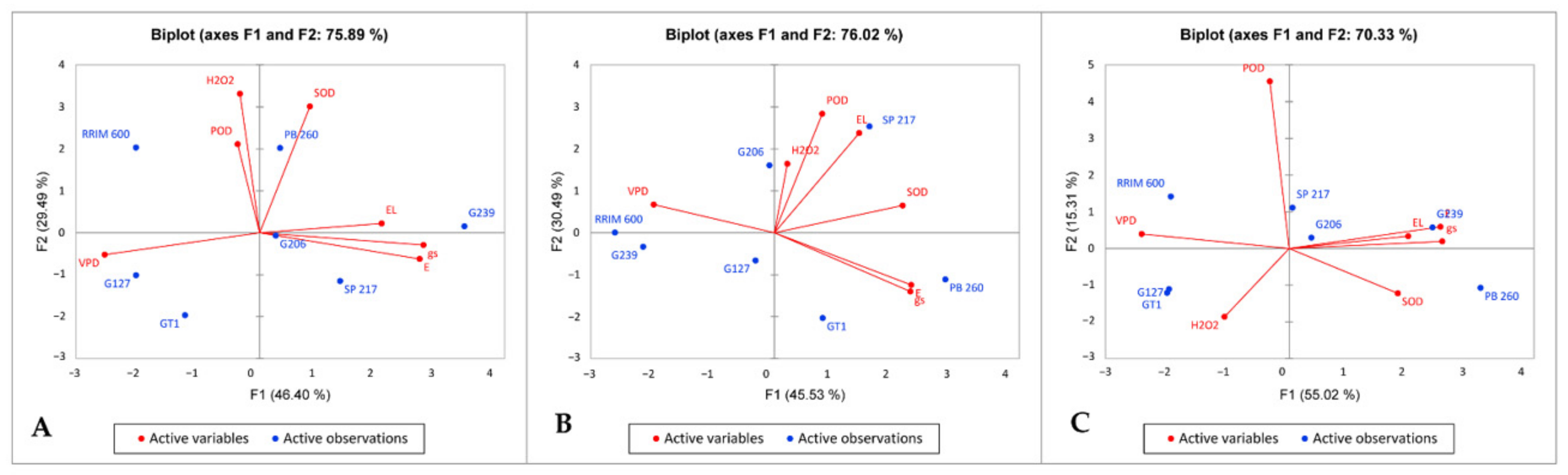 Plants 11 03563 g002 Plants 11 03563 g002