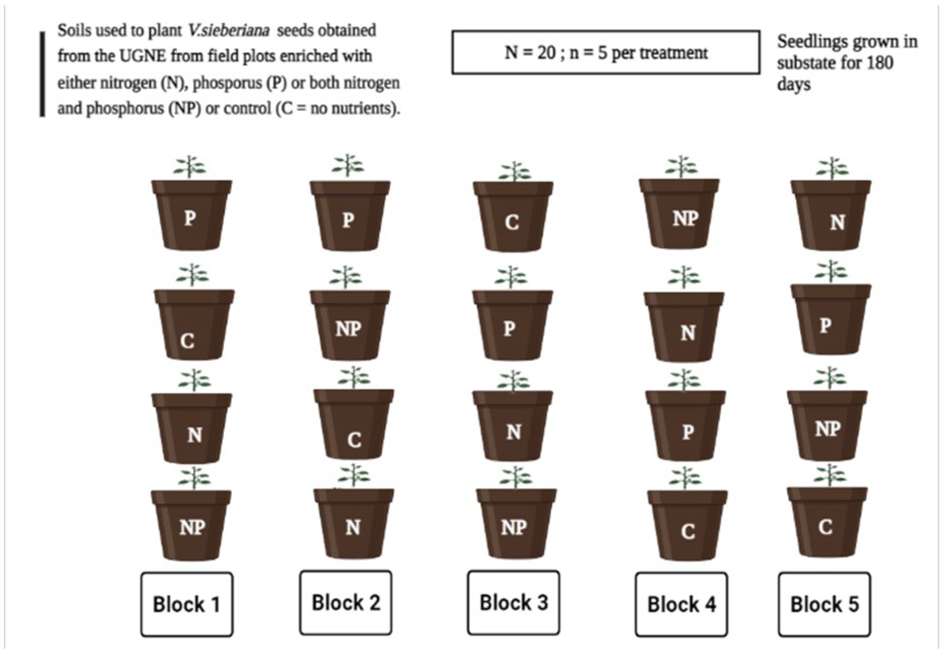 Plants 11 03564 g006 Plants 11 03564 g006