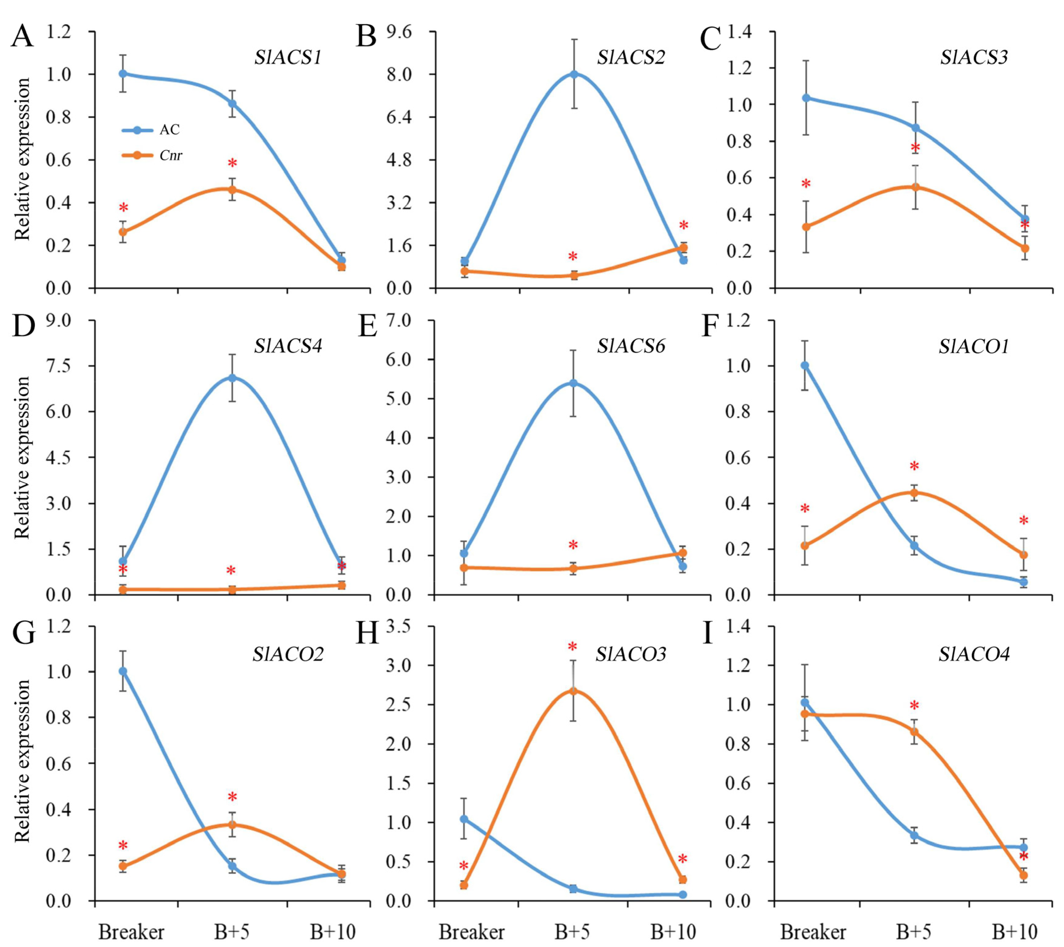 Plants 11 03570 g003 Plants 11 03570 g003