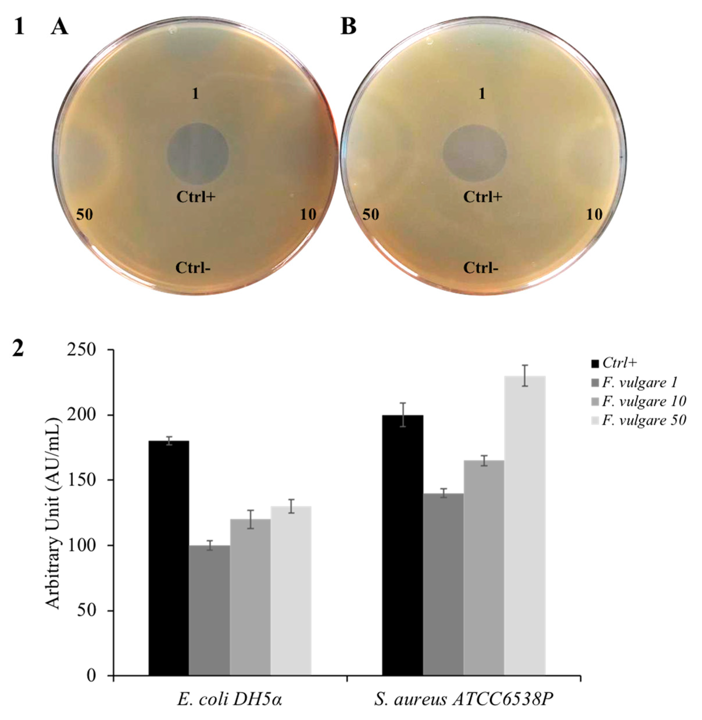 Plants 11 03573 g002 Plants 11 03573 g002