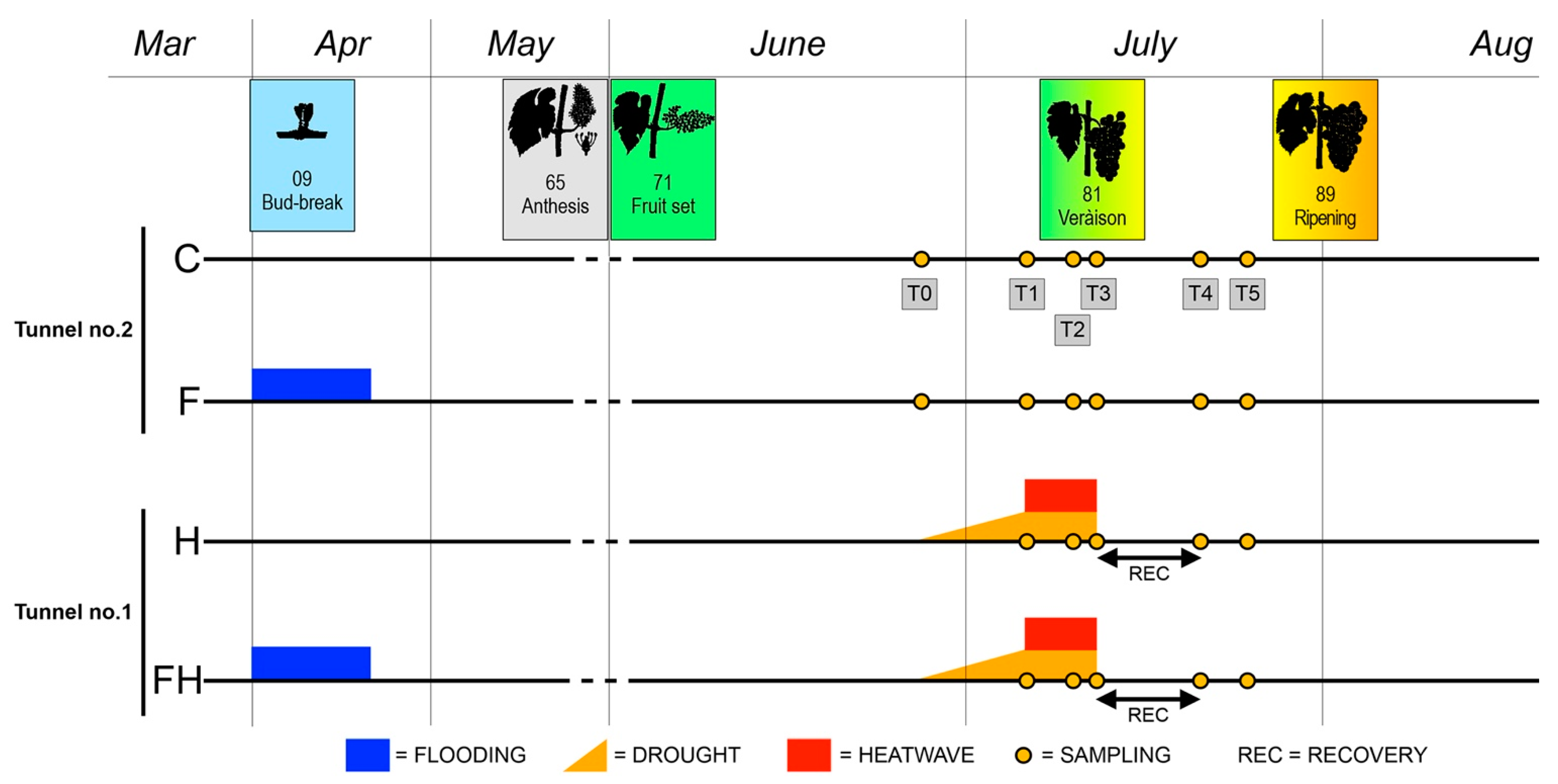 Plants 11 03574 g012 Plants 11 03574 g012