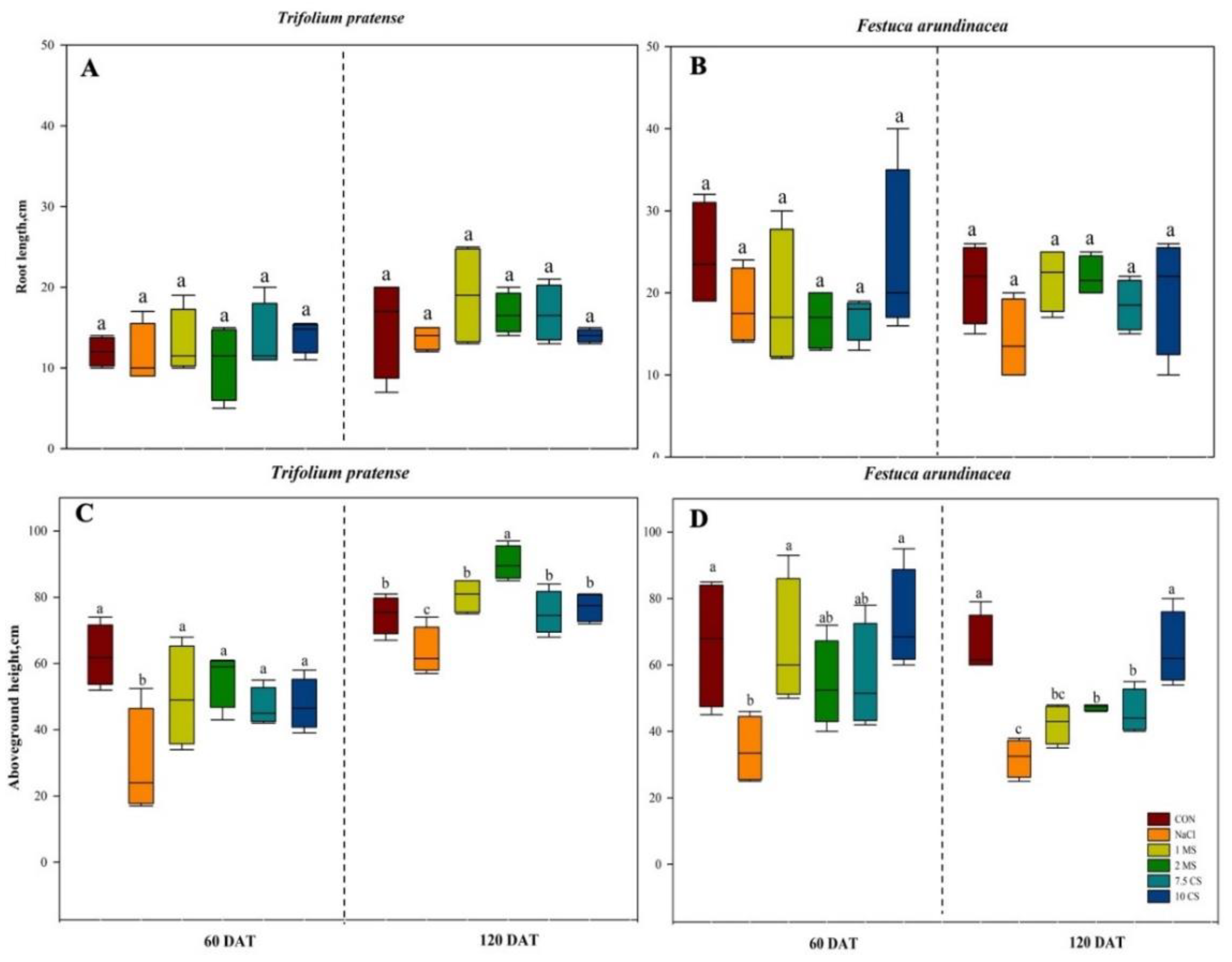 Plants 11 03576 g001