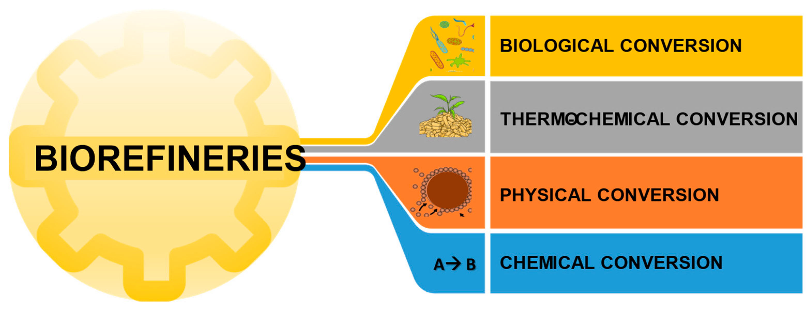 Plants 11 03577 g001