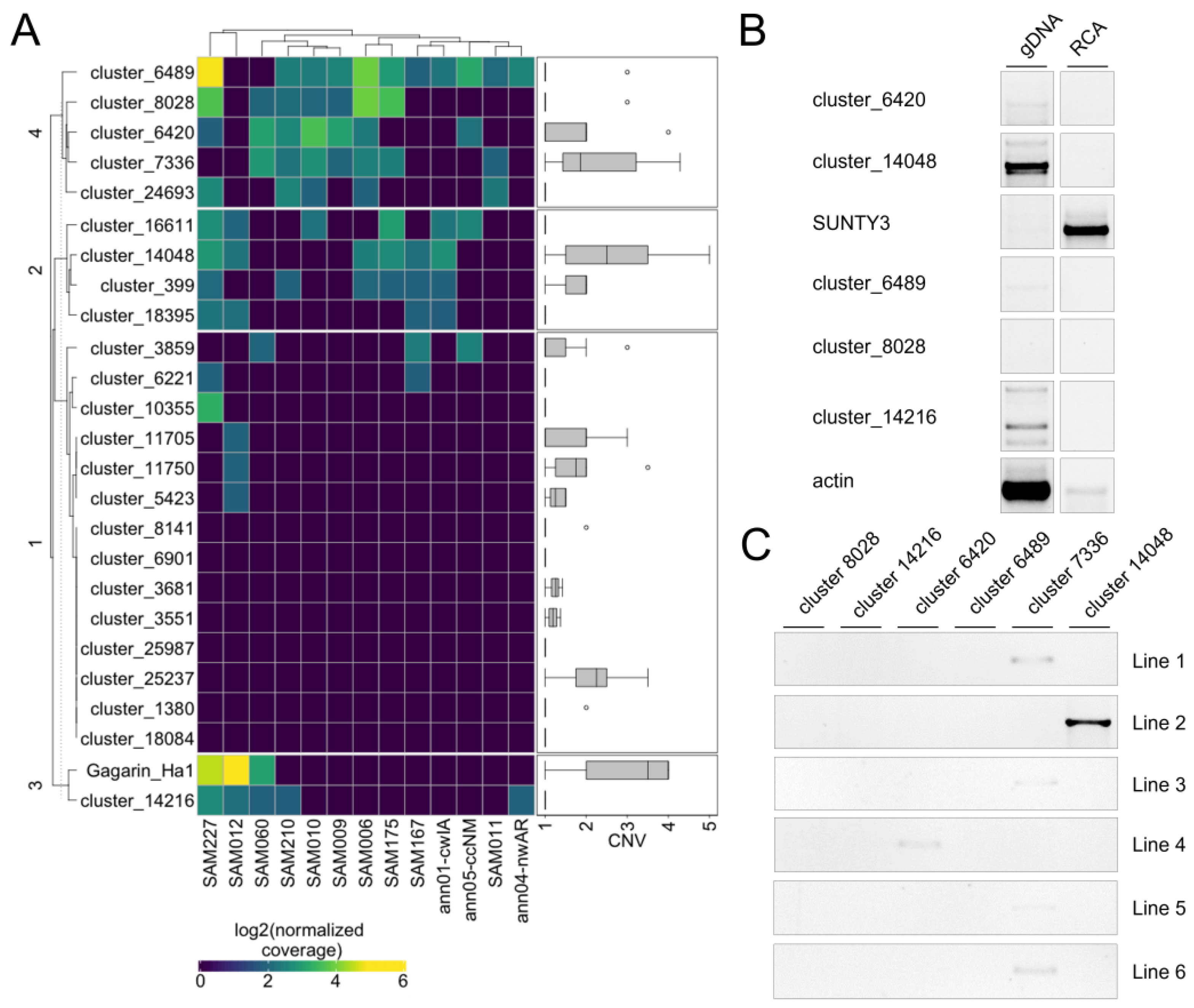 Plants 11 03579 g005