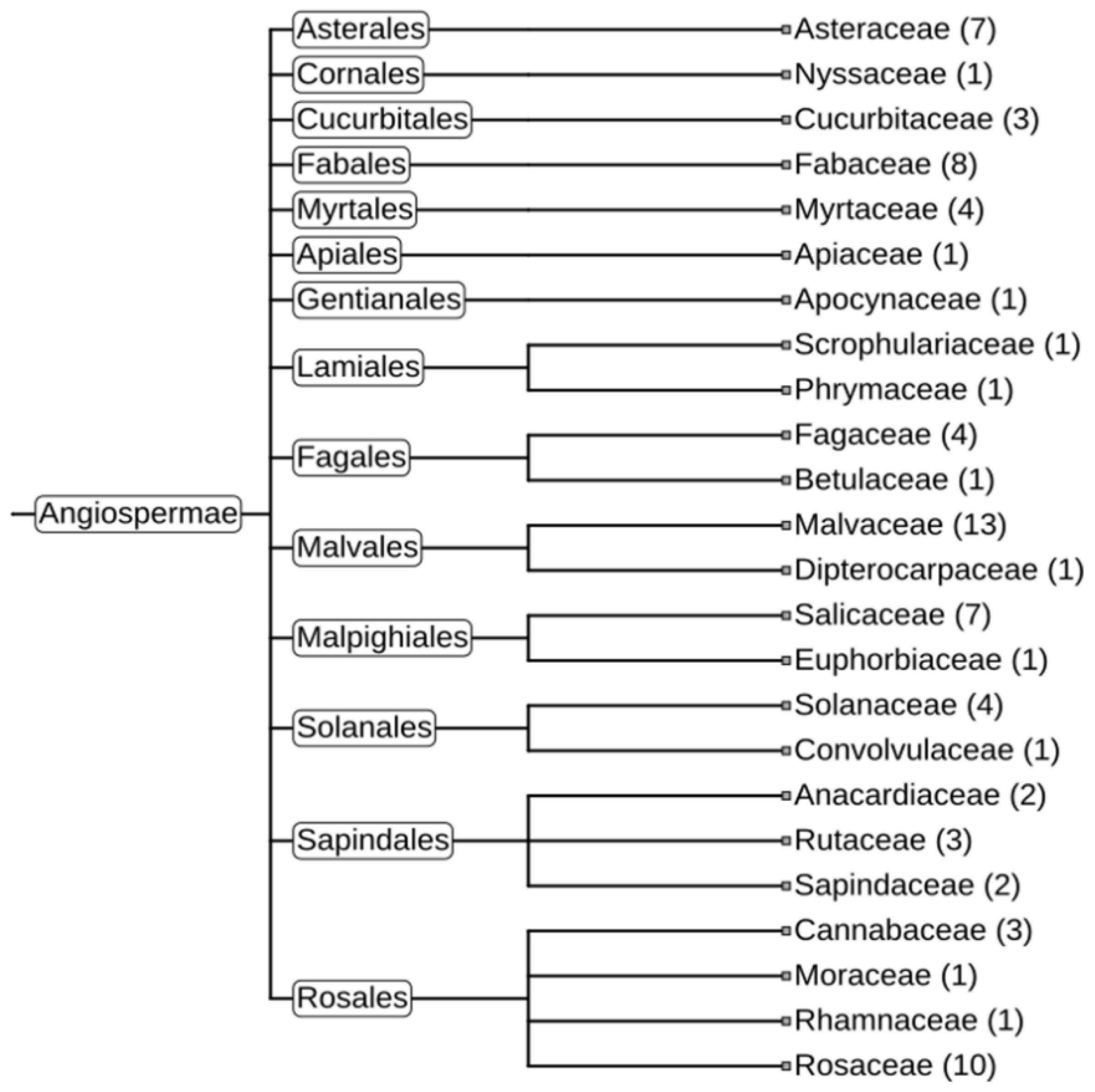 Plants 11 03579 g007