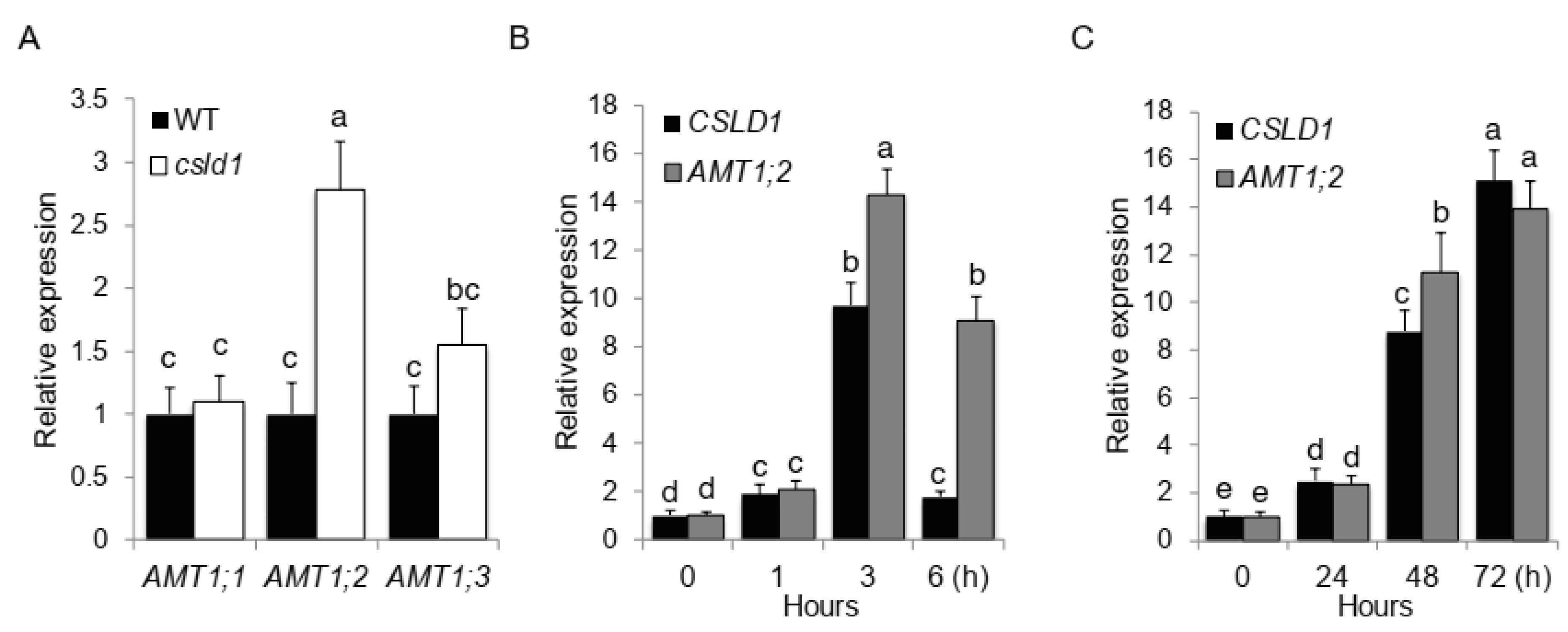 Plants 11 03580 g005 Plants 11 03580 g005