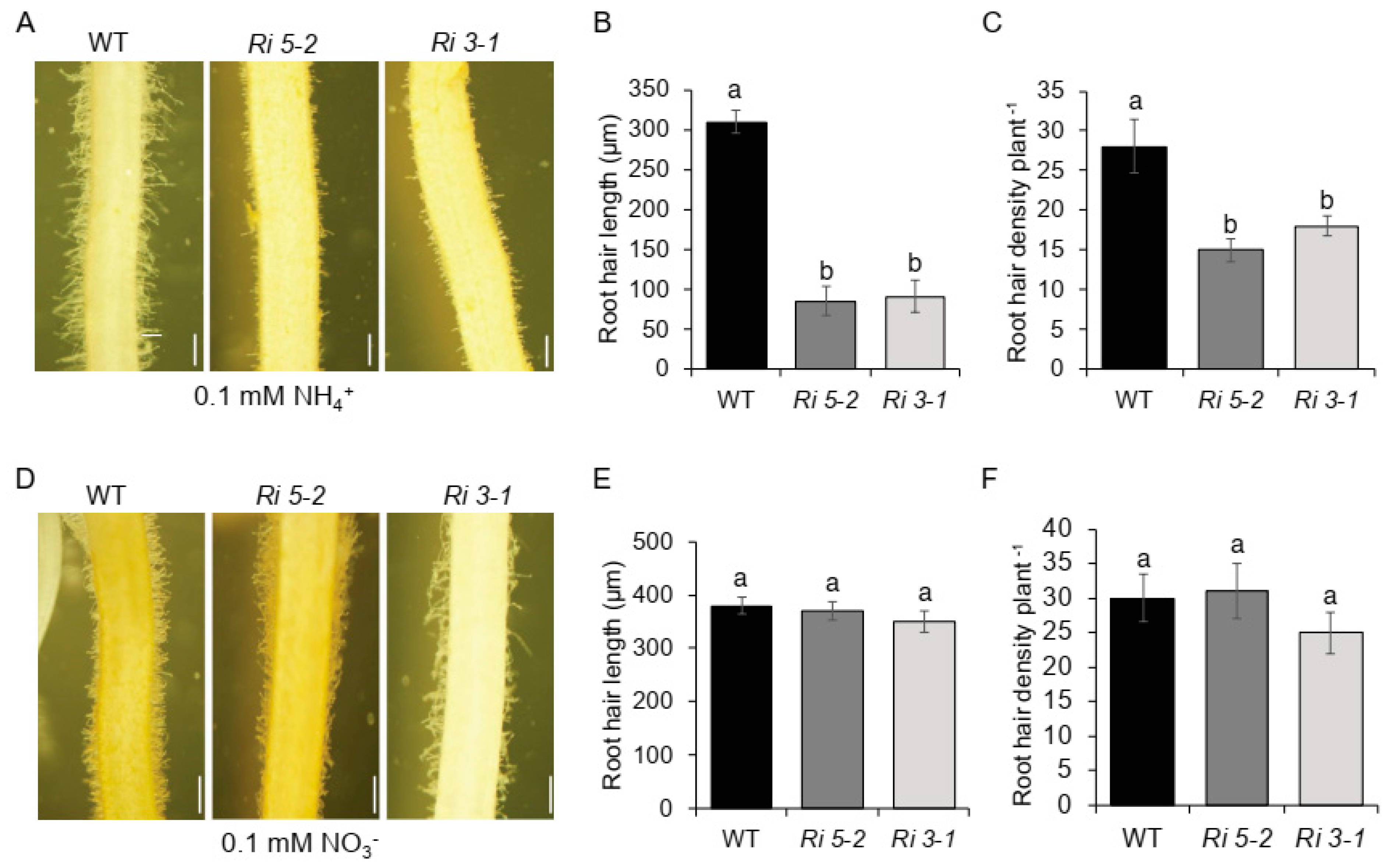 Plants 11 03580 g008 Plants 11 03580 g008