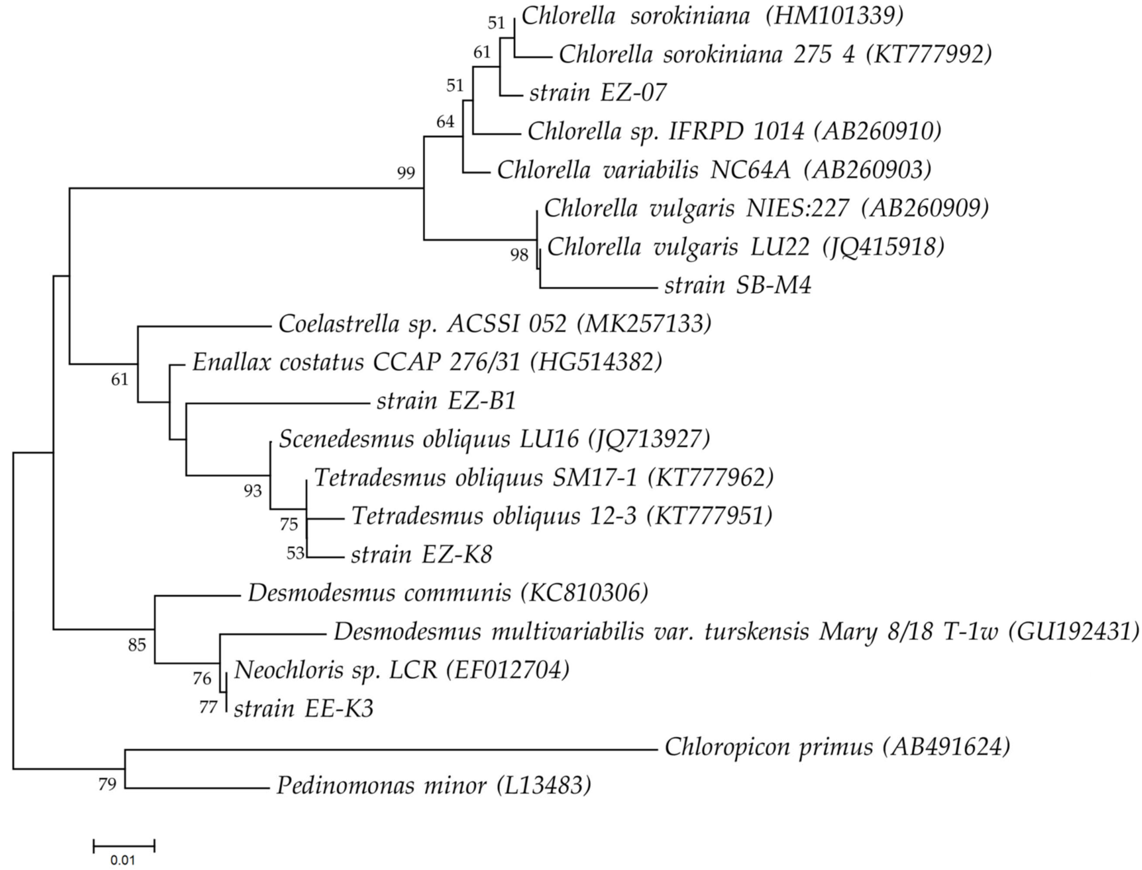 Plants 11 03583 g001 Plants 11 03583 g001