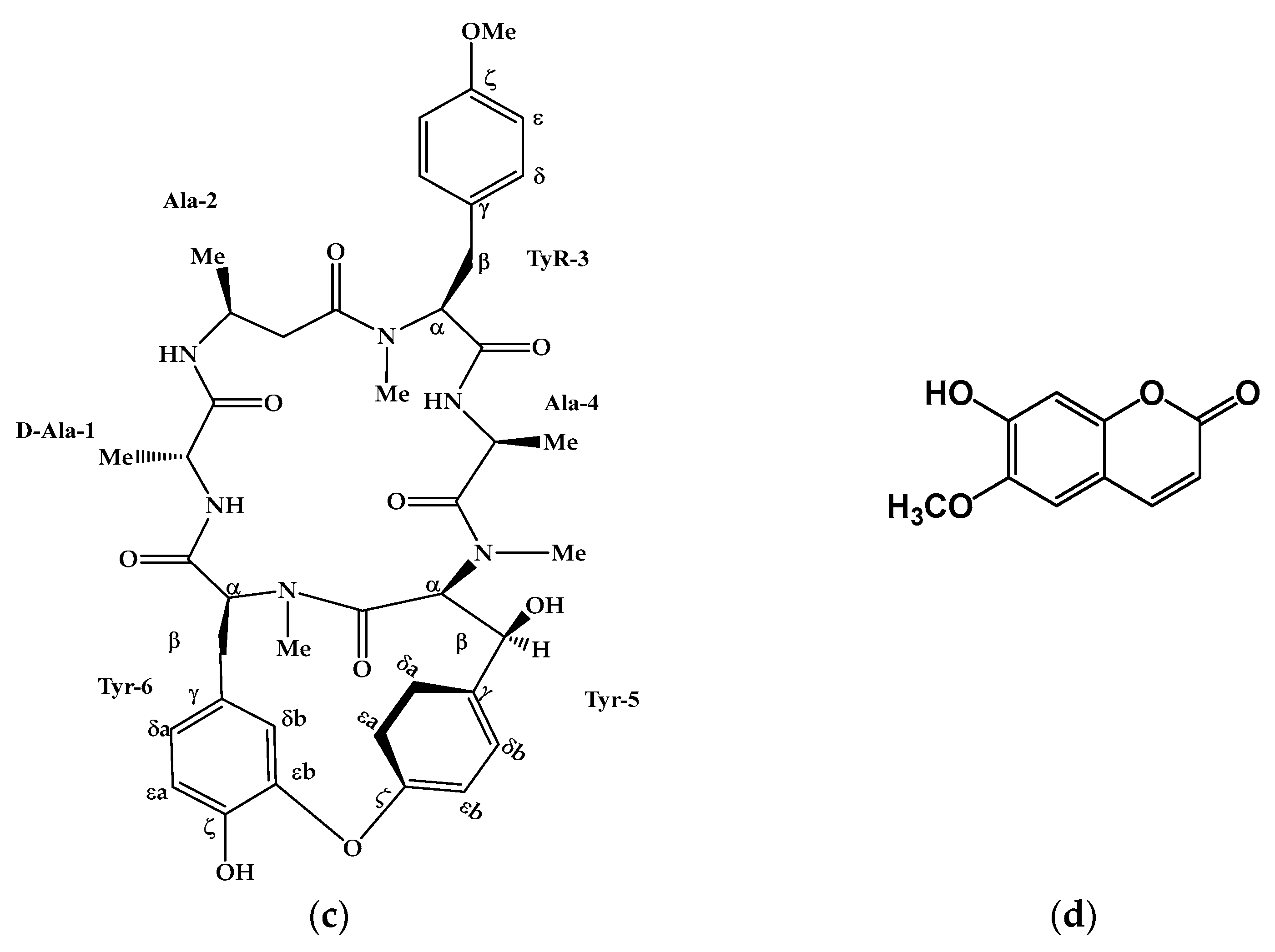 Plants 12 00001 g002b