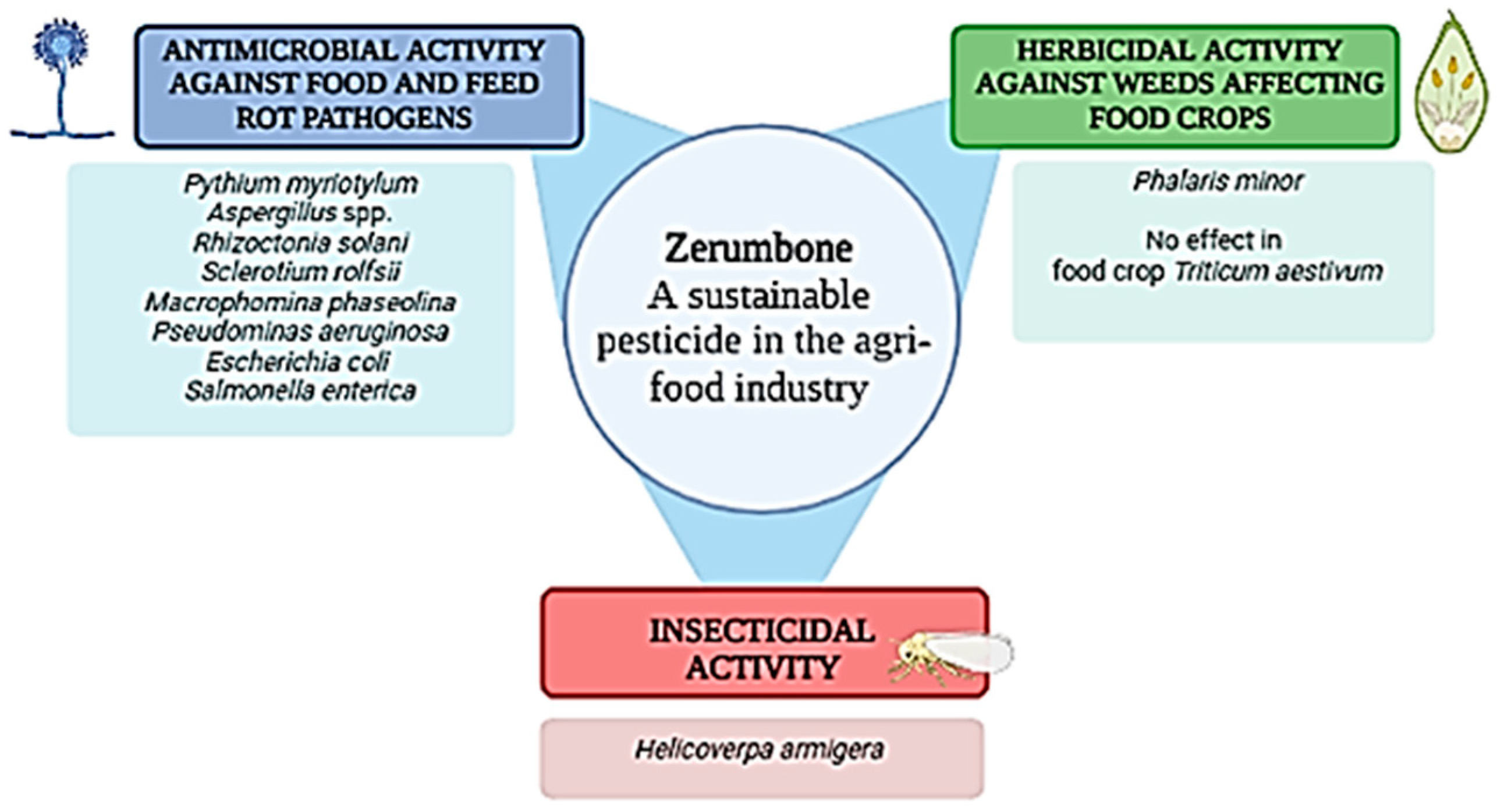 Plants 12 00005 g002 Plants 12 00005 g002