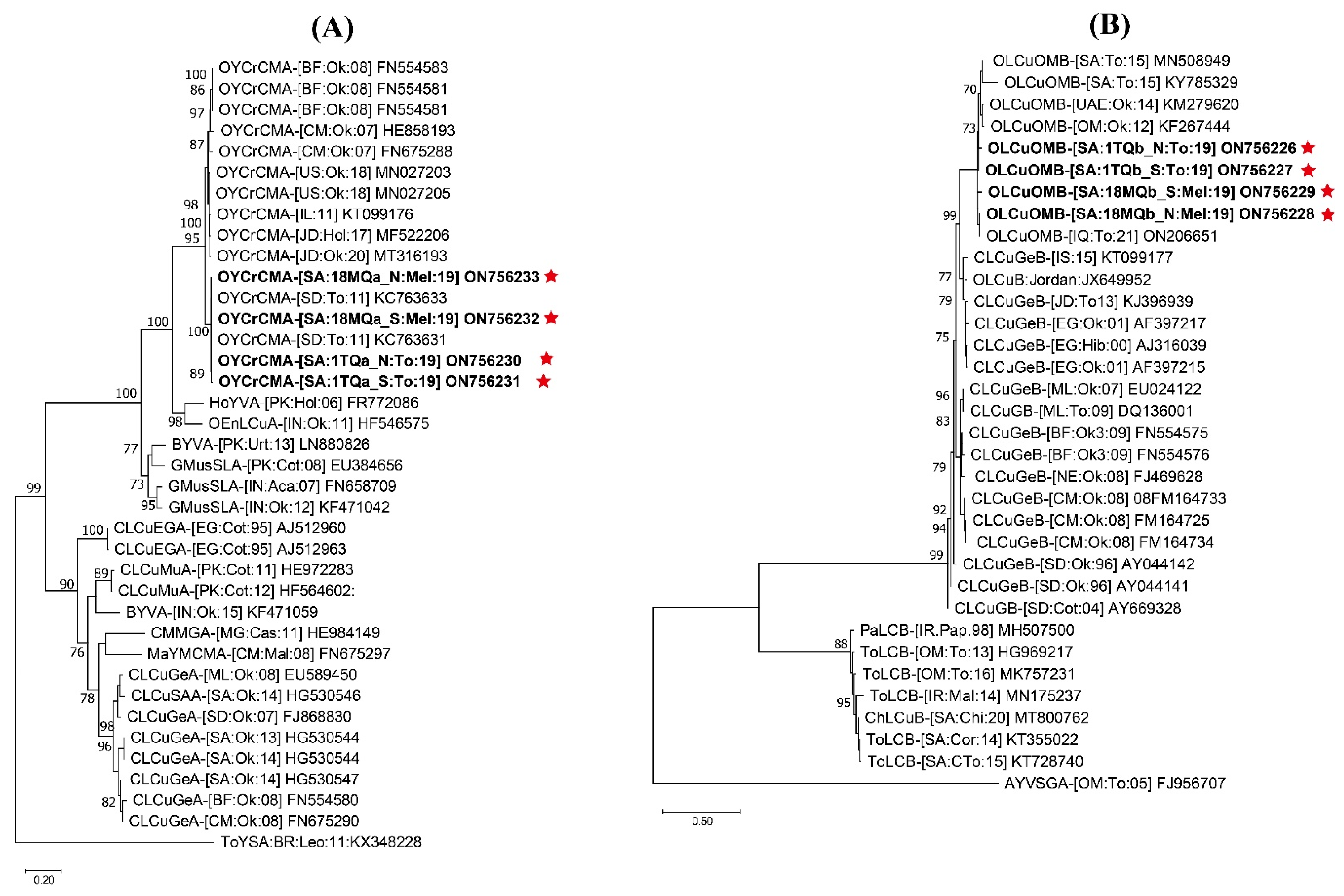 Plants 12 00006 g003