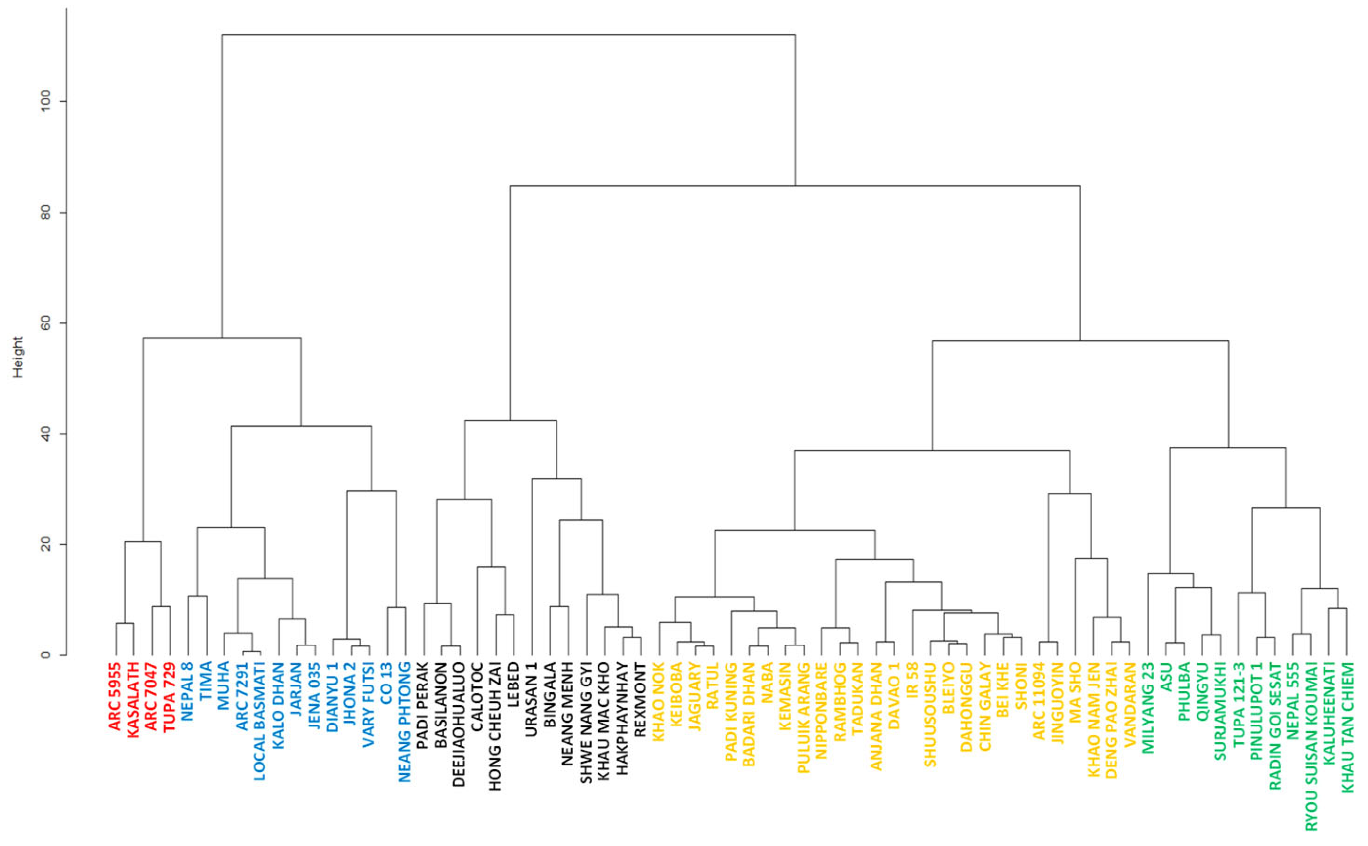 Plants 12 00019 g005