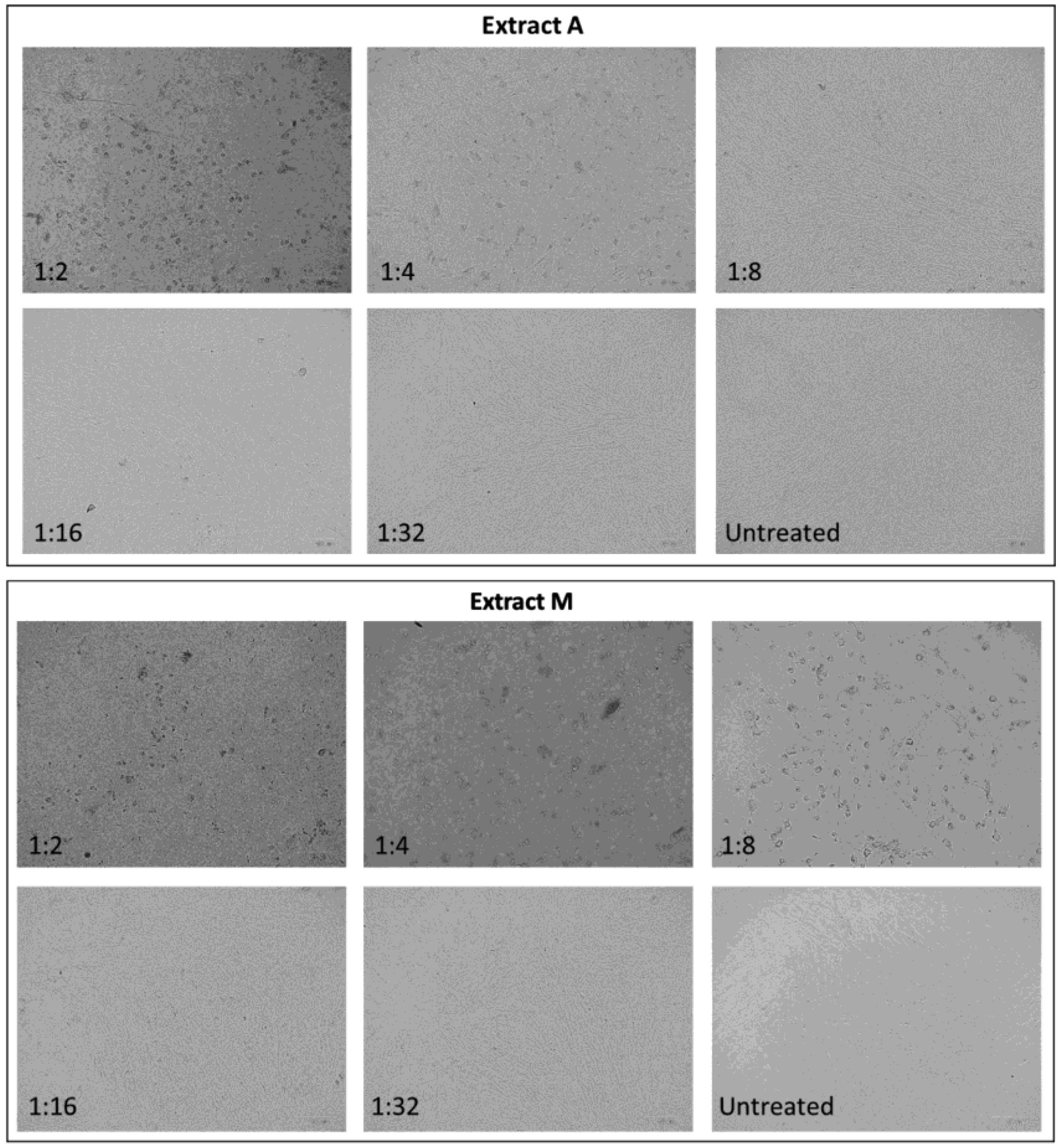 Plants 12 00026 g007