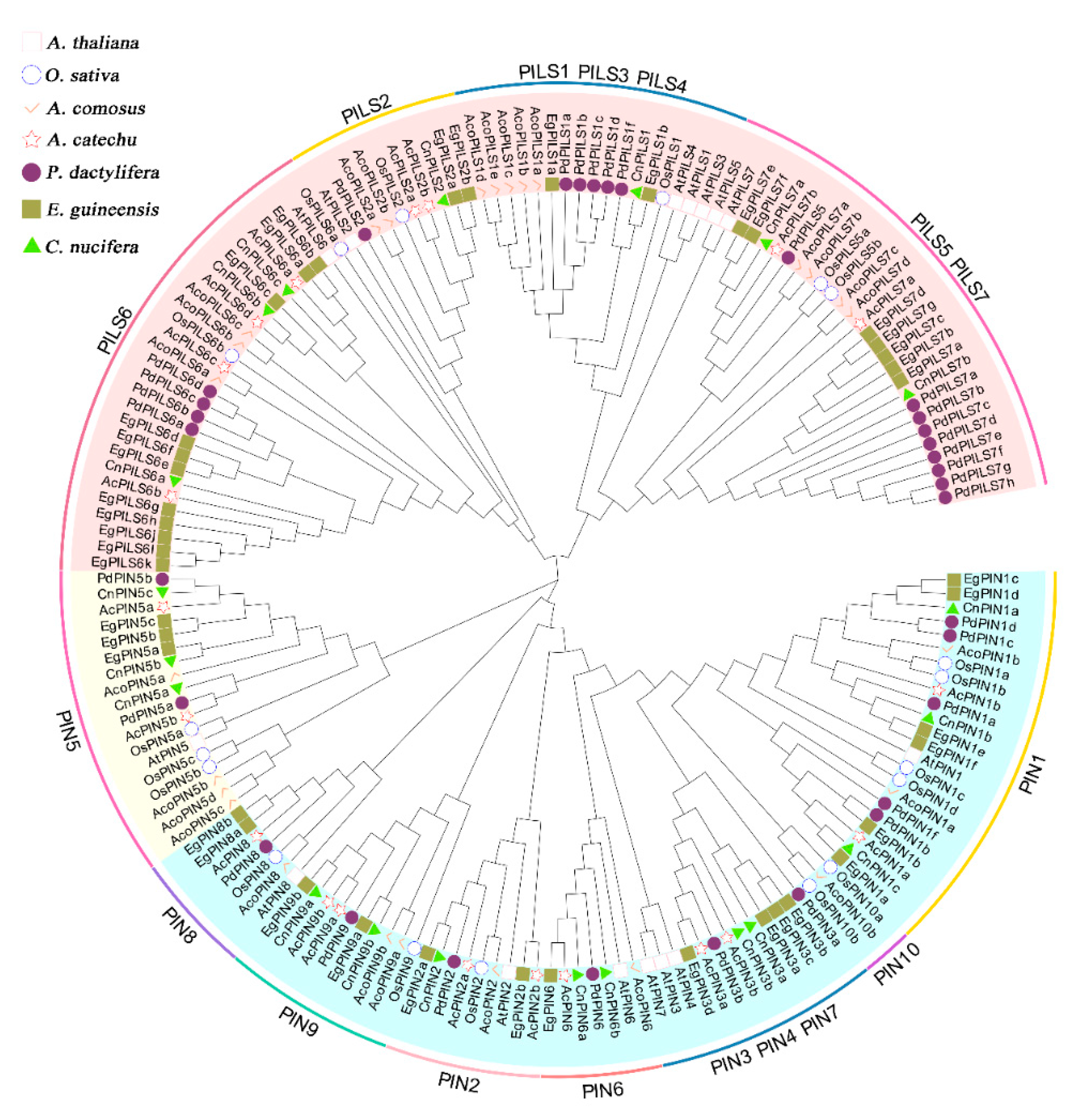 Plants 12 00033 g001 Plants 12 00033 g001