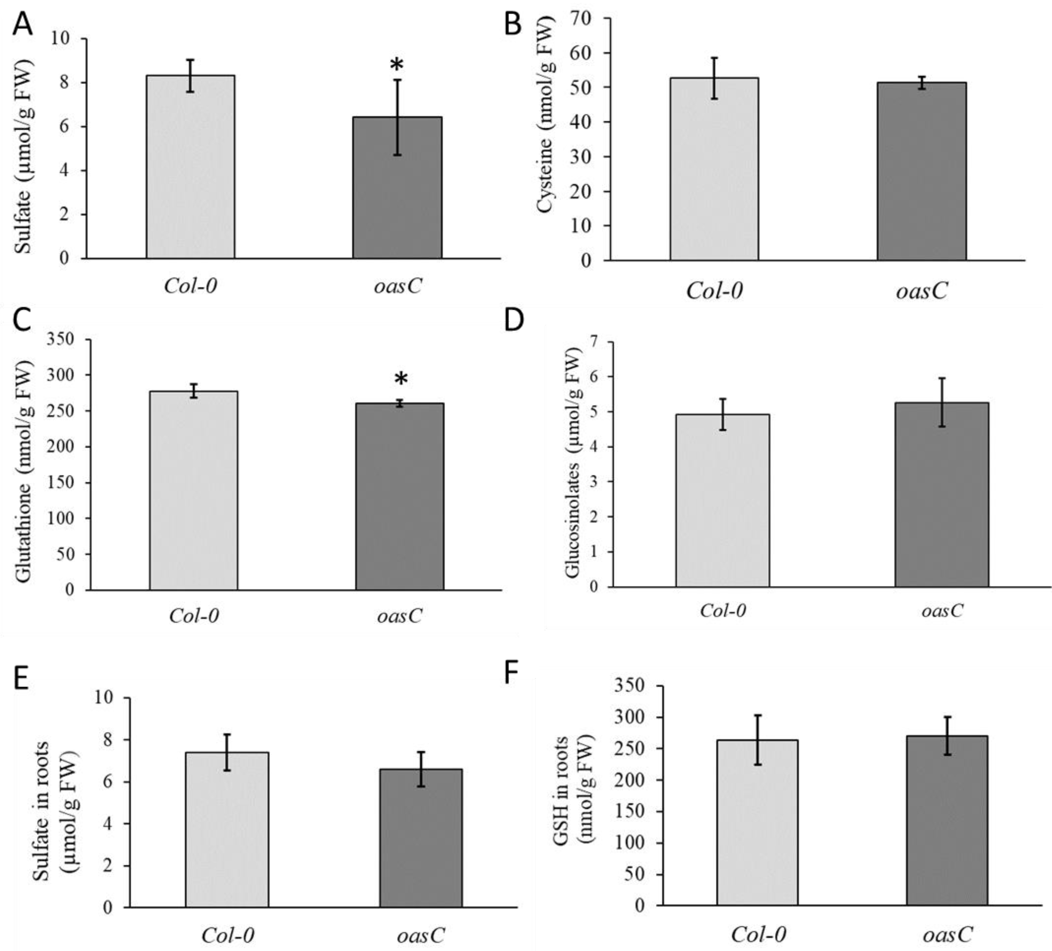 Plants 12 00035 g001 Plants 12 00035 g001